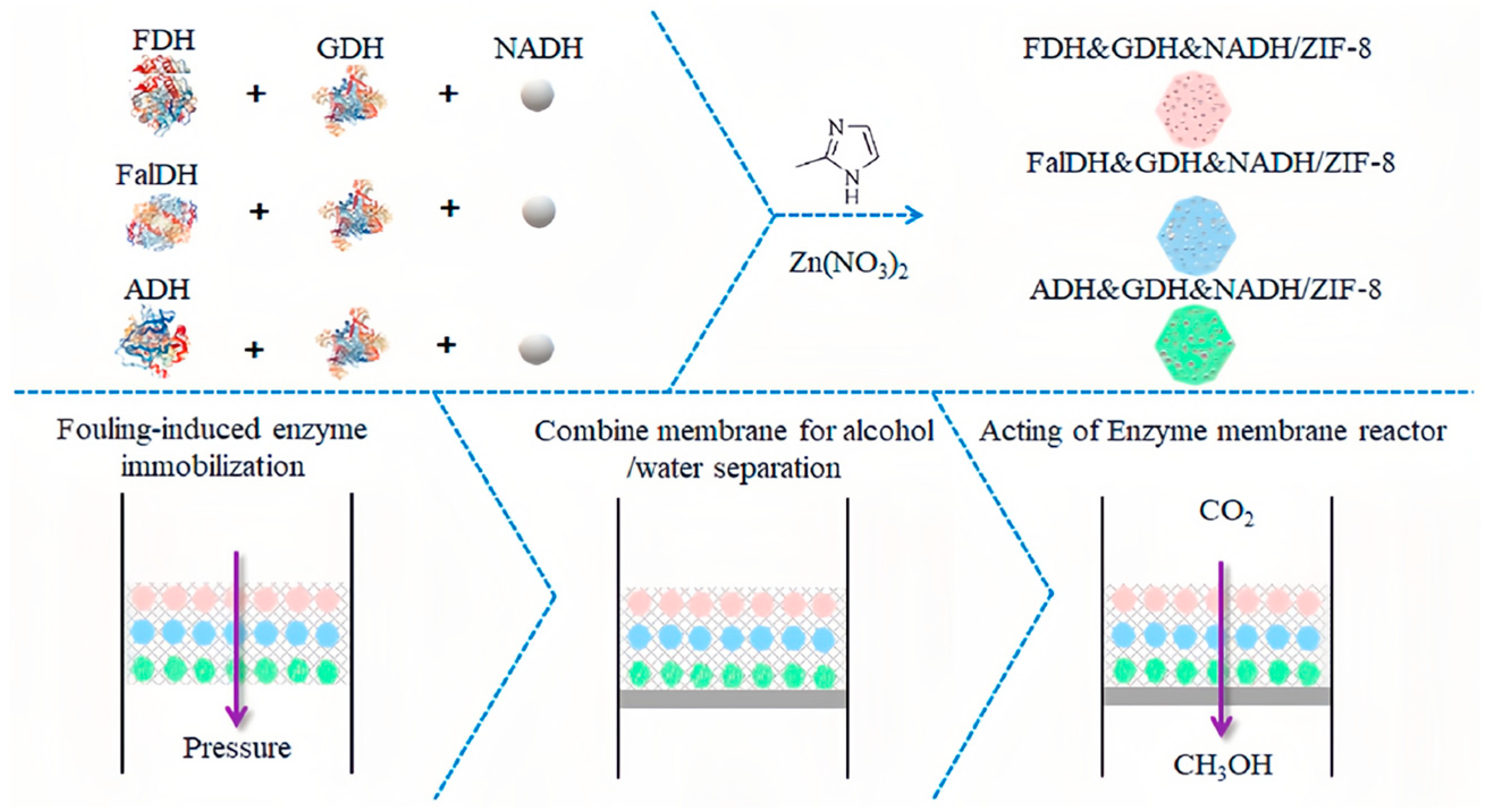 Molecules 30 00251 g008