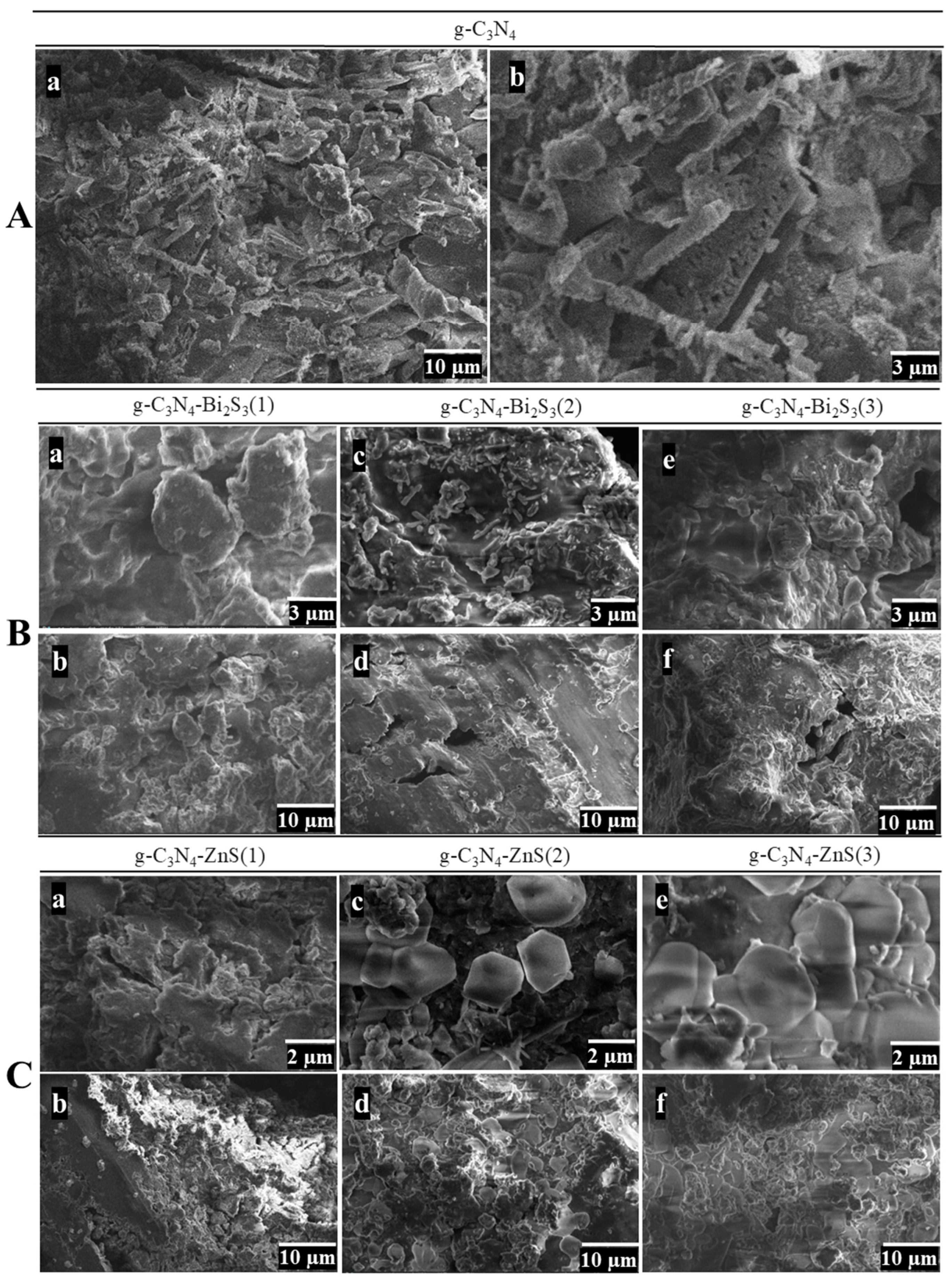 Molecules 30 00253 g003