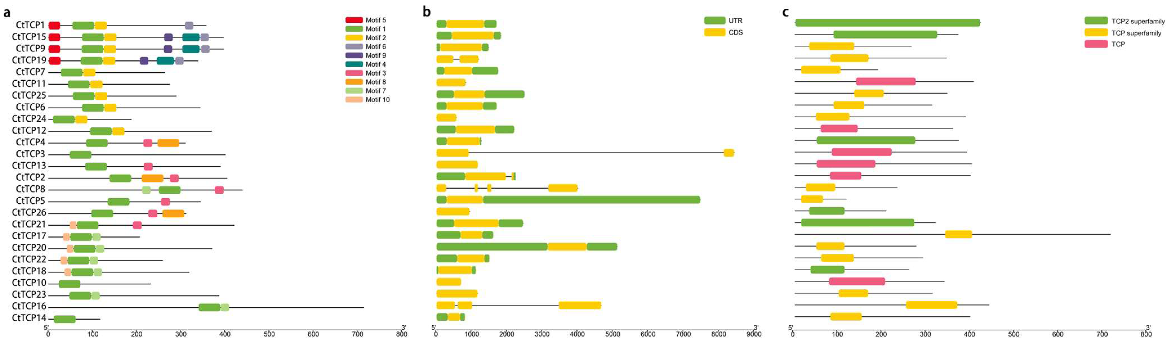 Molecules 30 00254 g002