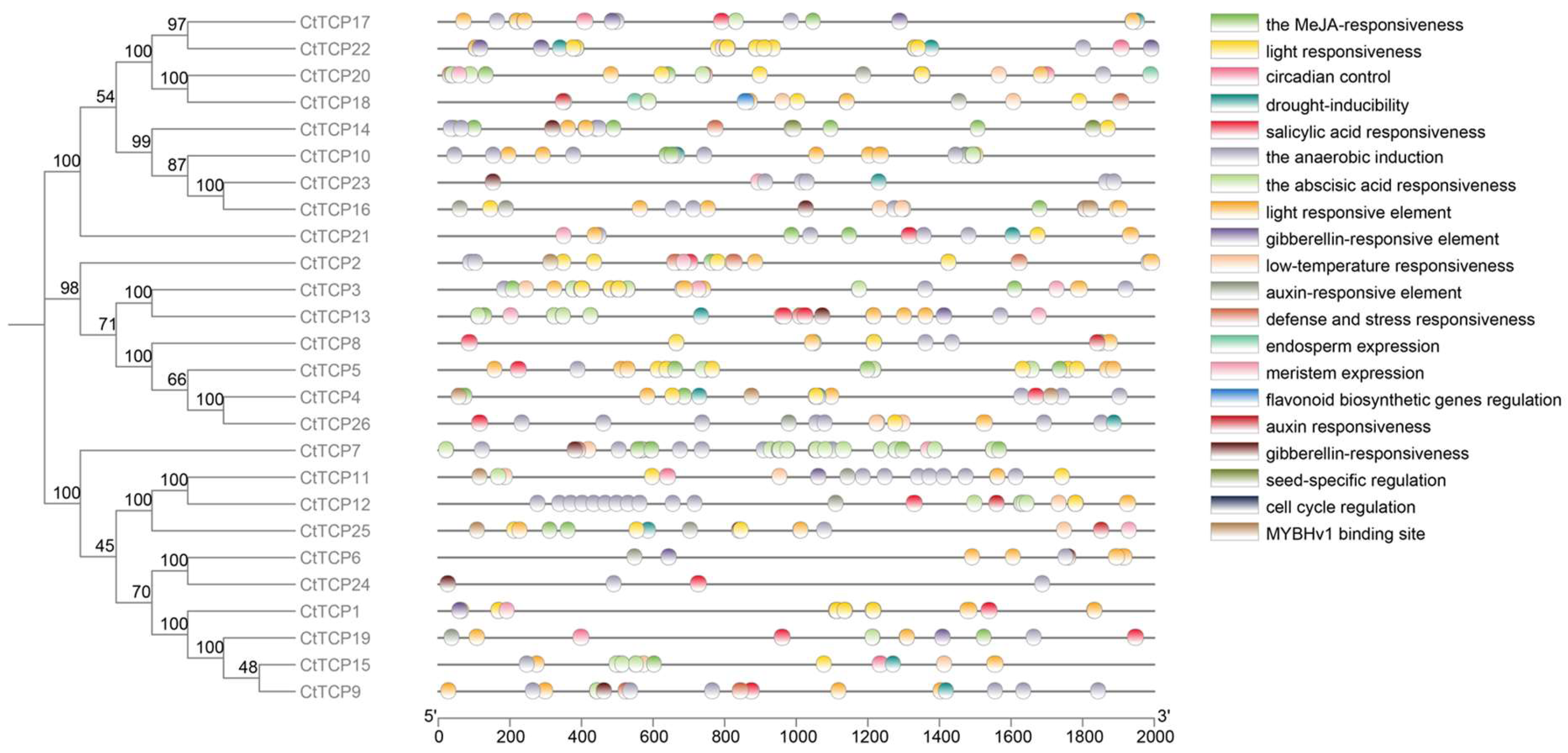 Molecules 30 00254 g003