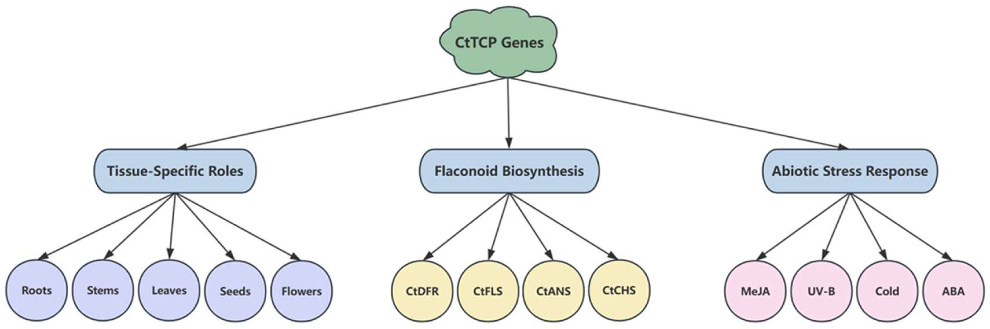 Molecules 30 00254 g008