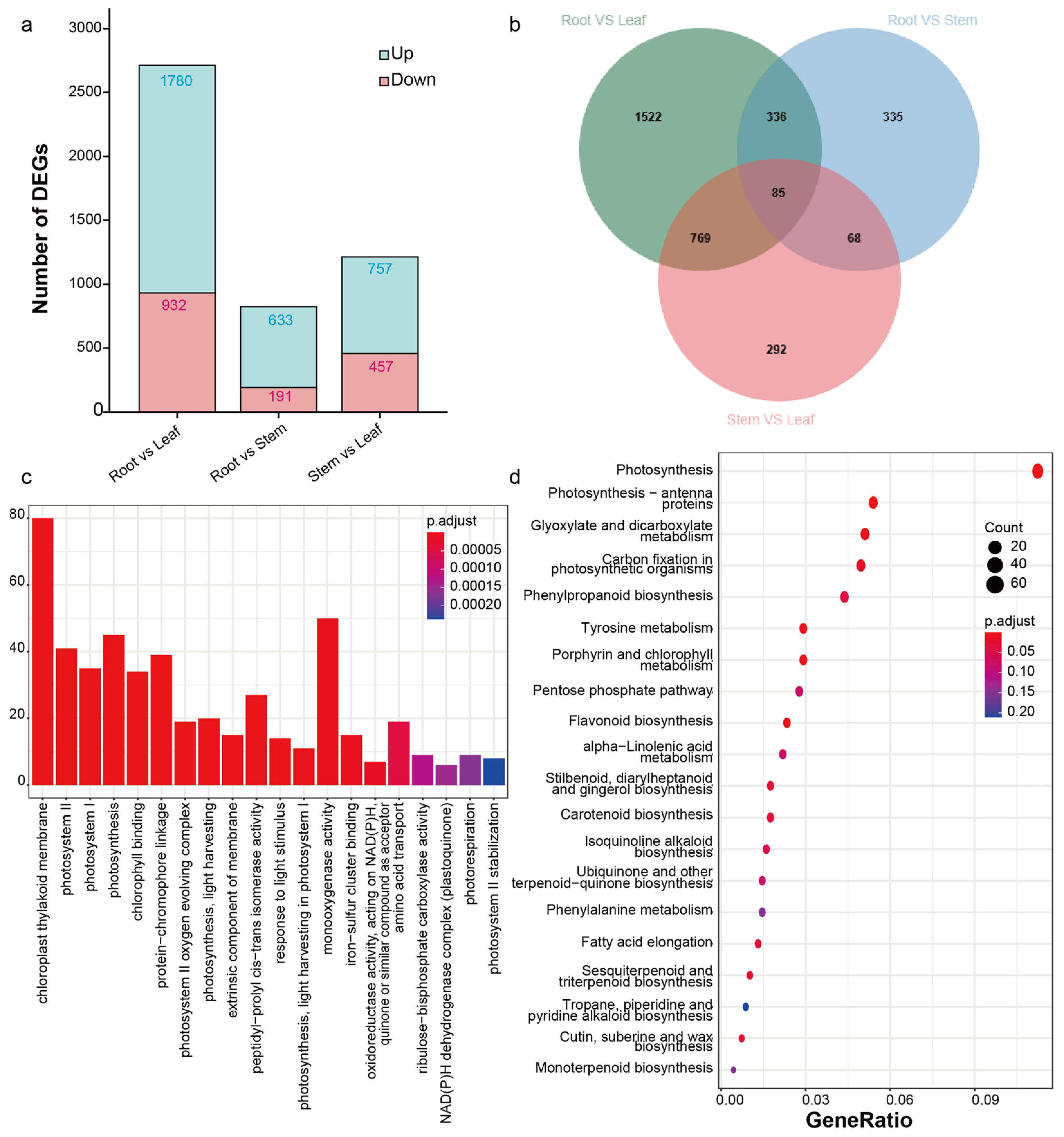 Molecules 30 00259 g002