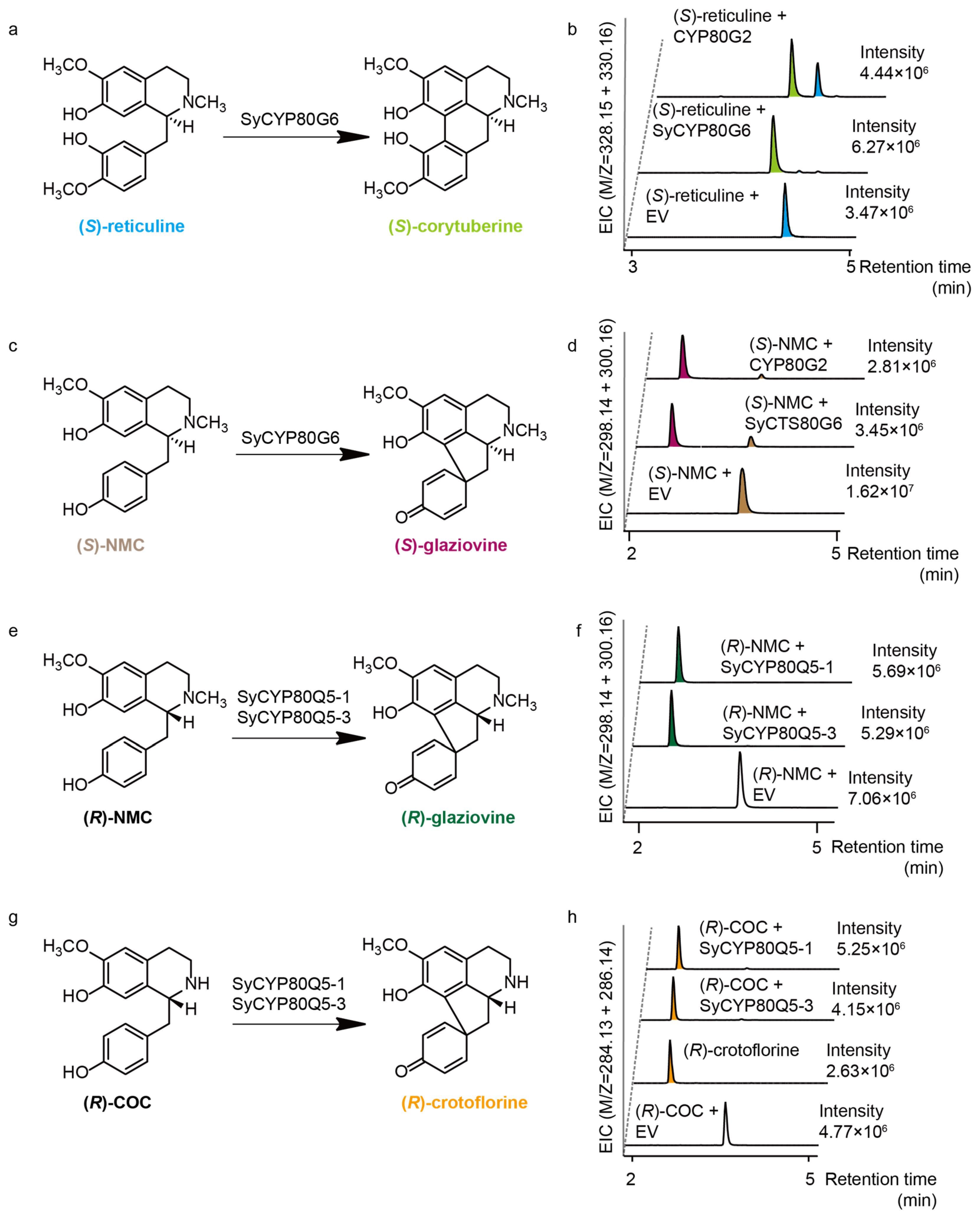 Molecules 30 00259 g005