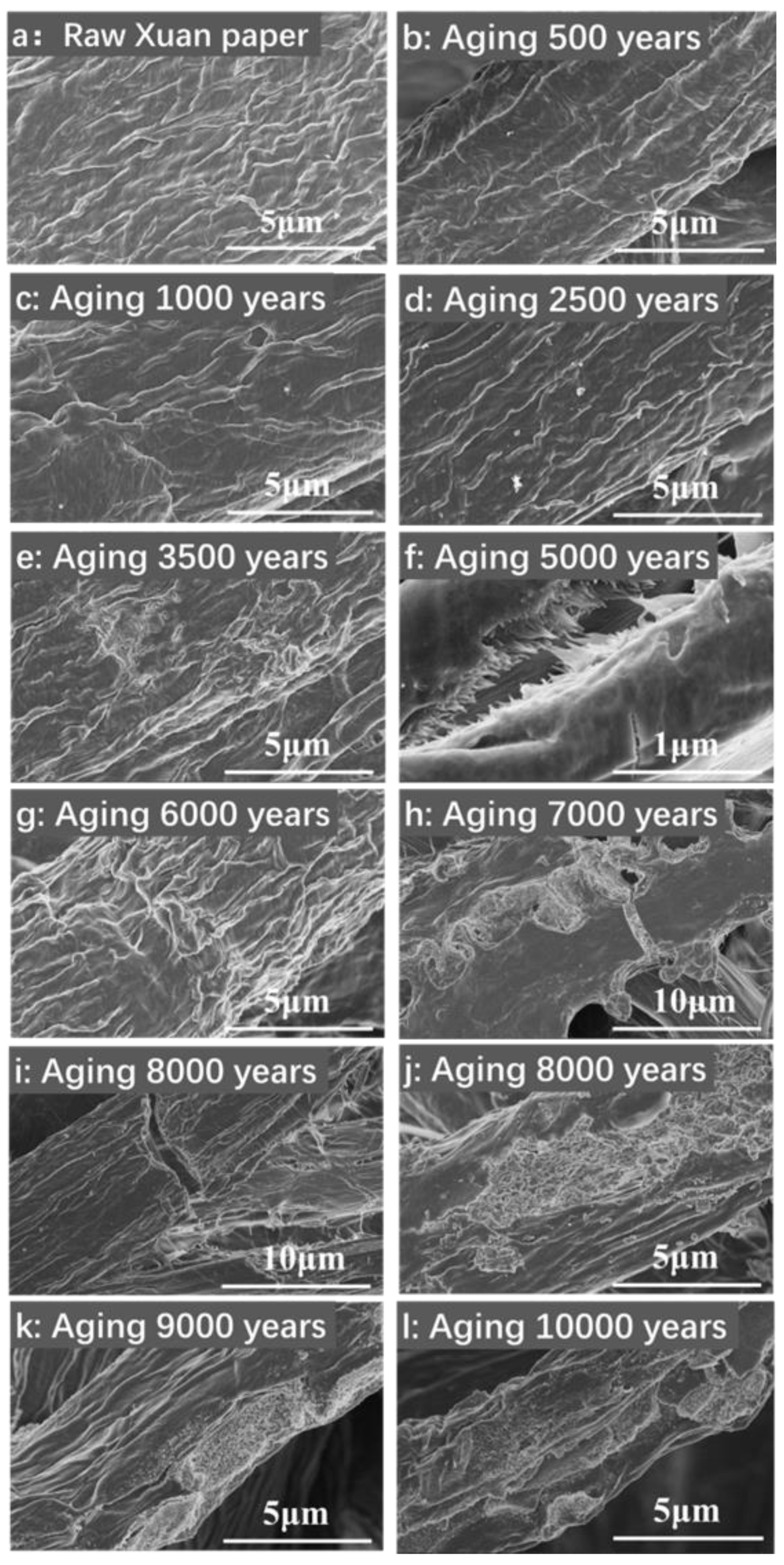 Molecules 30 00263 g005