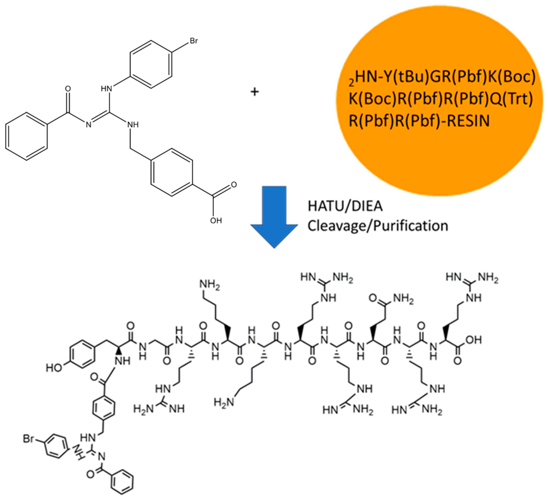 Molecules 30 00264 g001