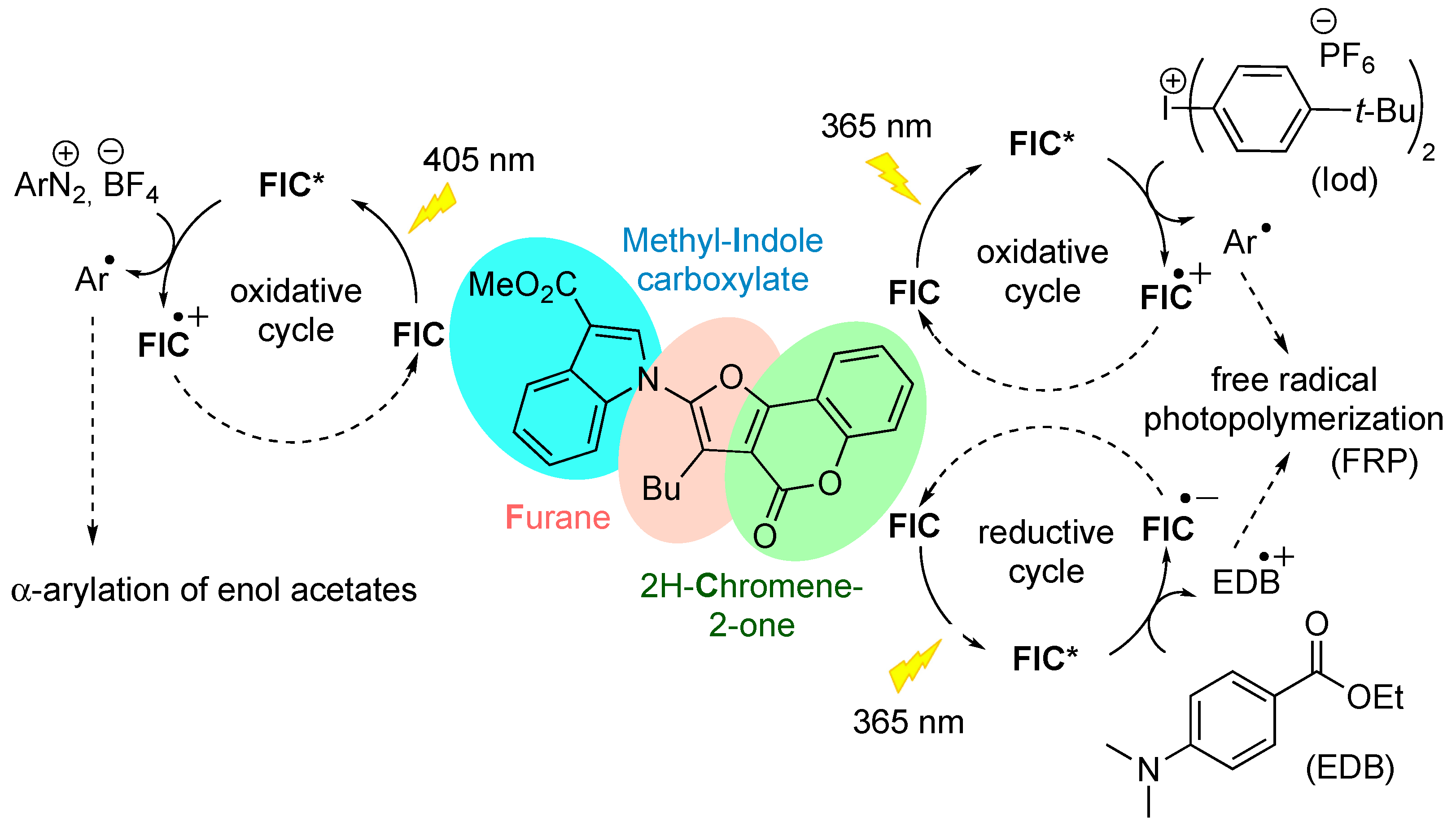 Molecules 30 00265 sch002