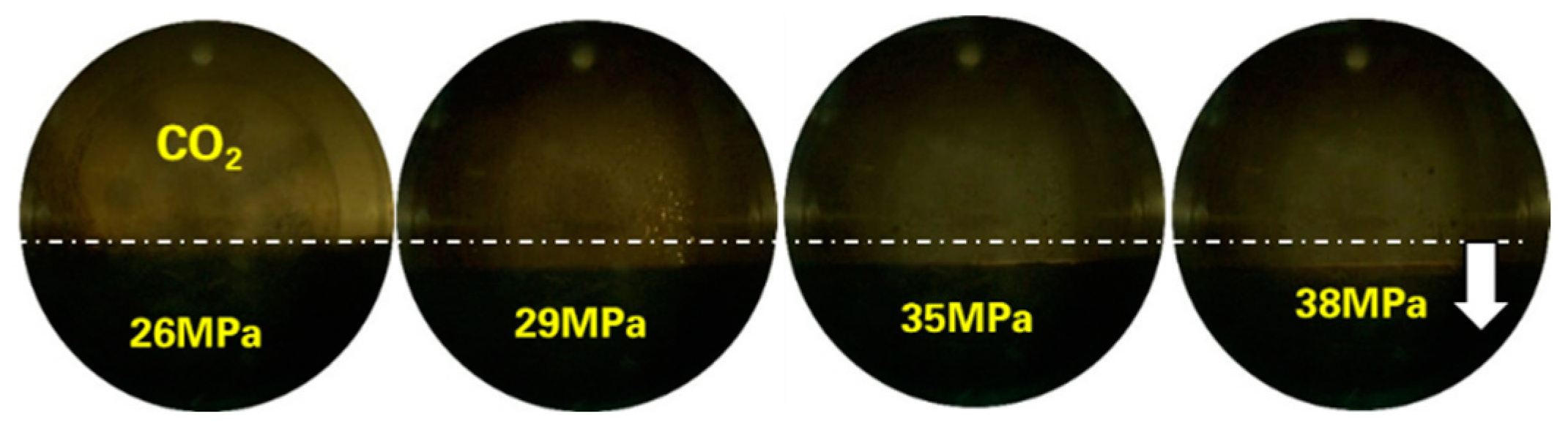 Molecules 30 00277 g004
