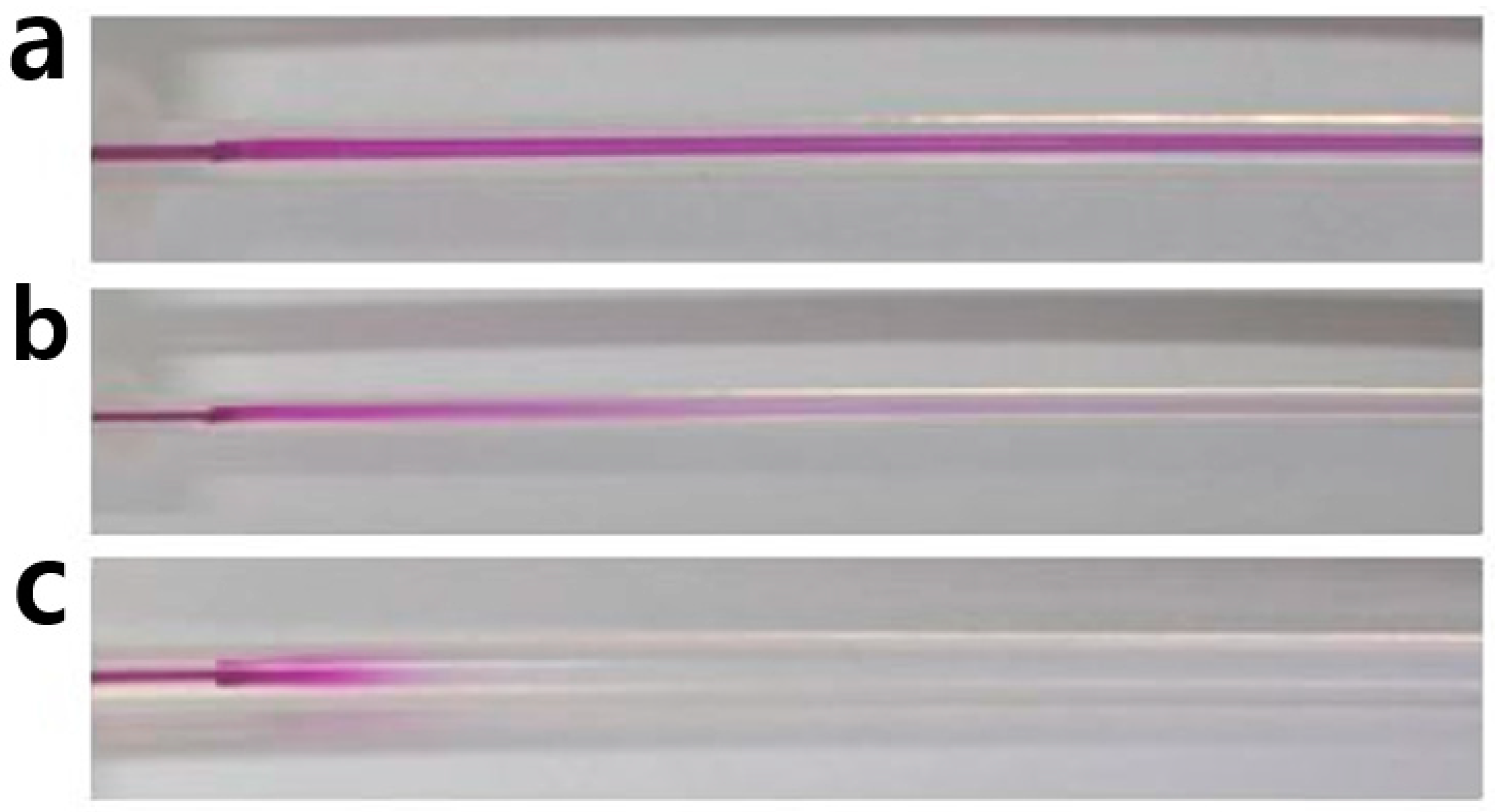 Molecules 30 00279 g001