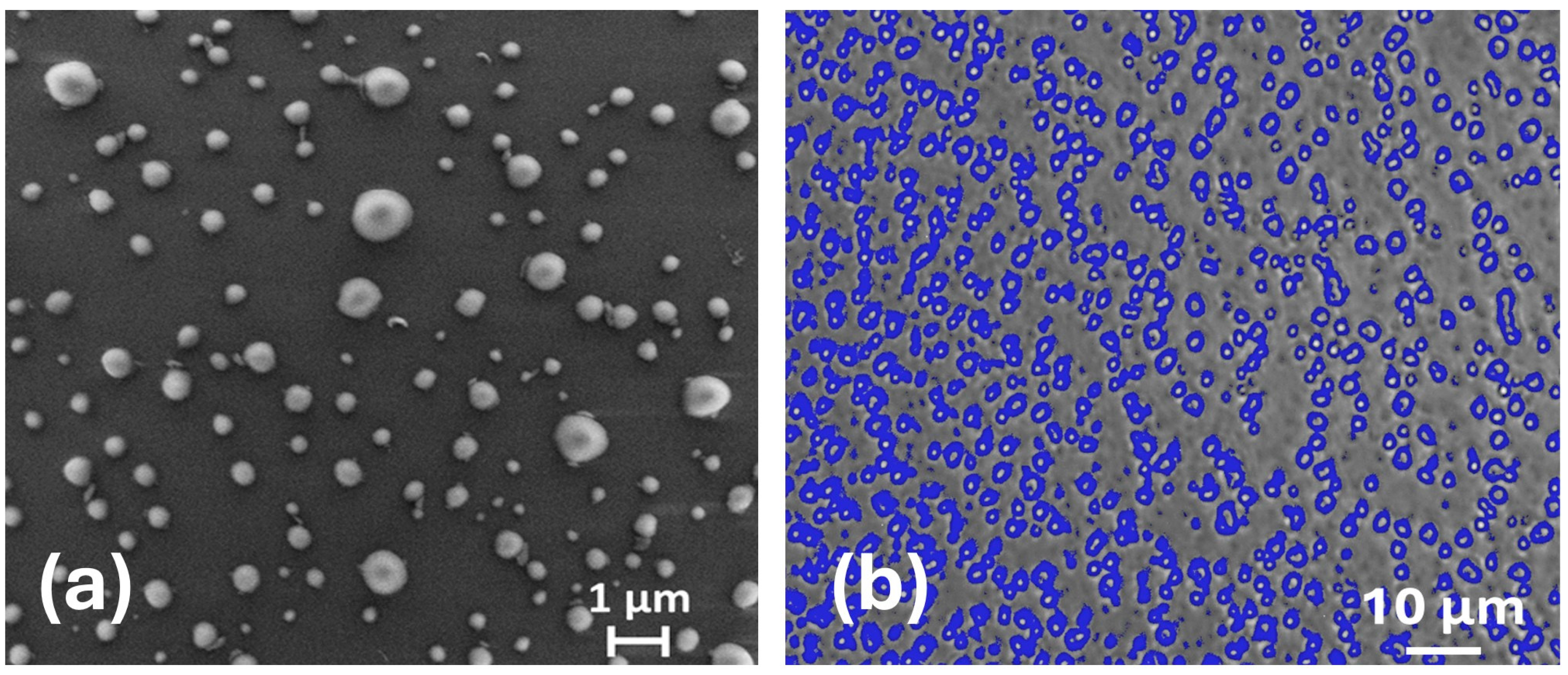 Molecules 30 00282 g011 Molecules 30 00282 g011