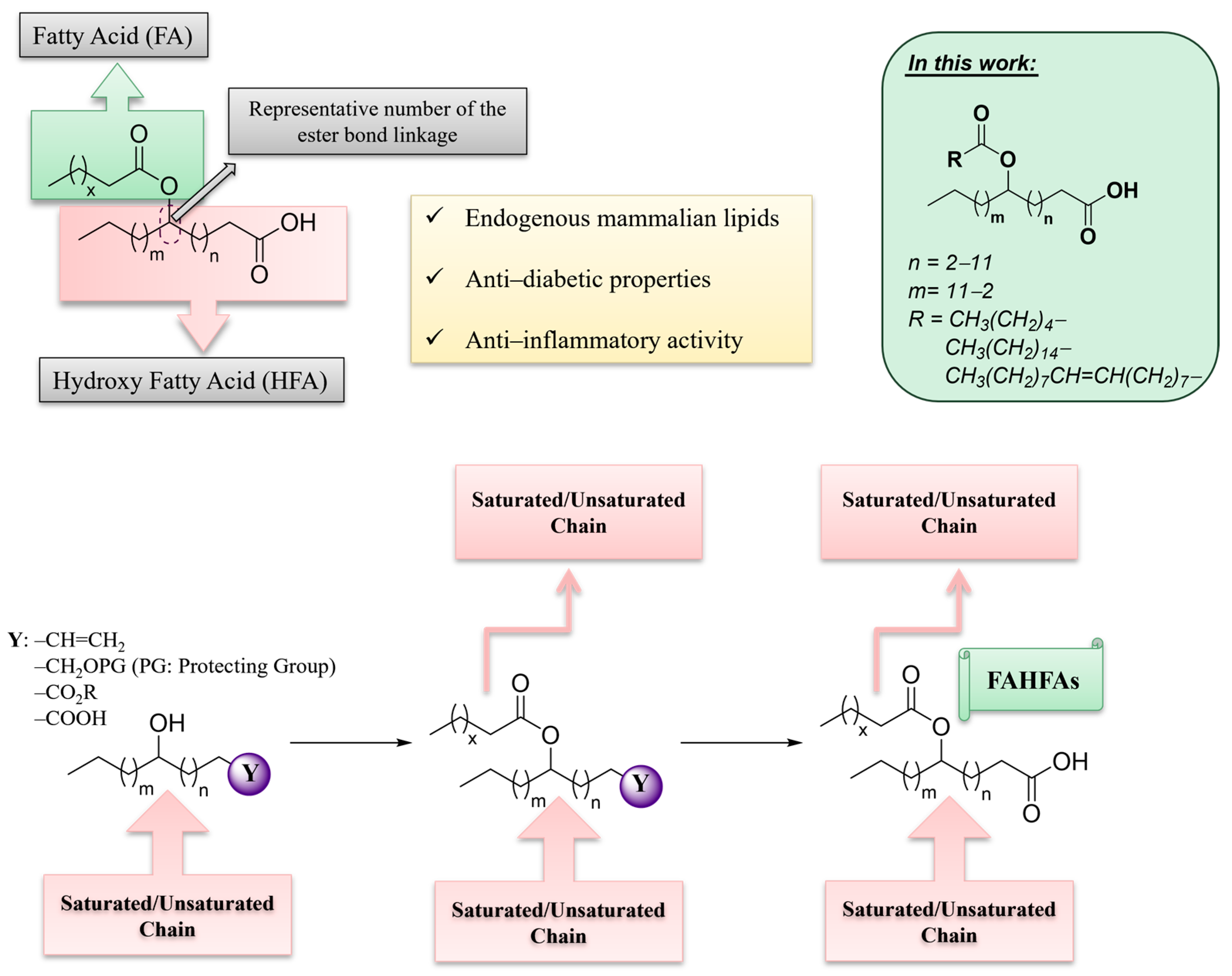 Molecules 30 00286 g001