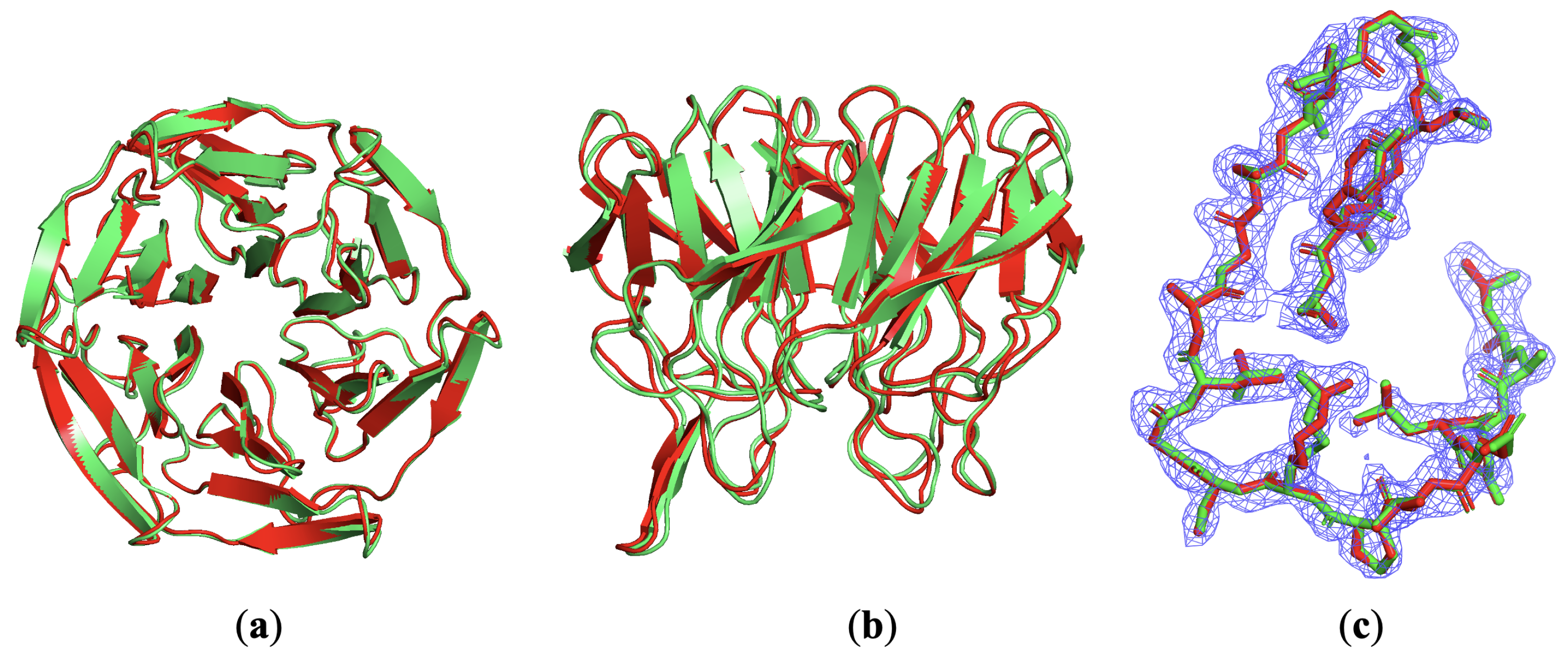Molecules 30 00288 g008