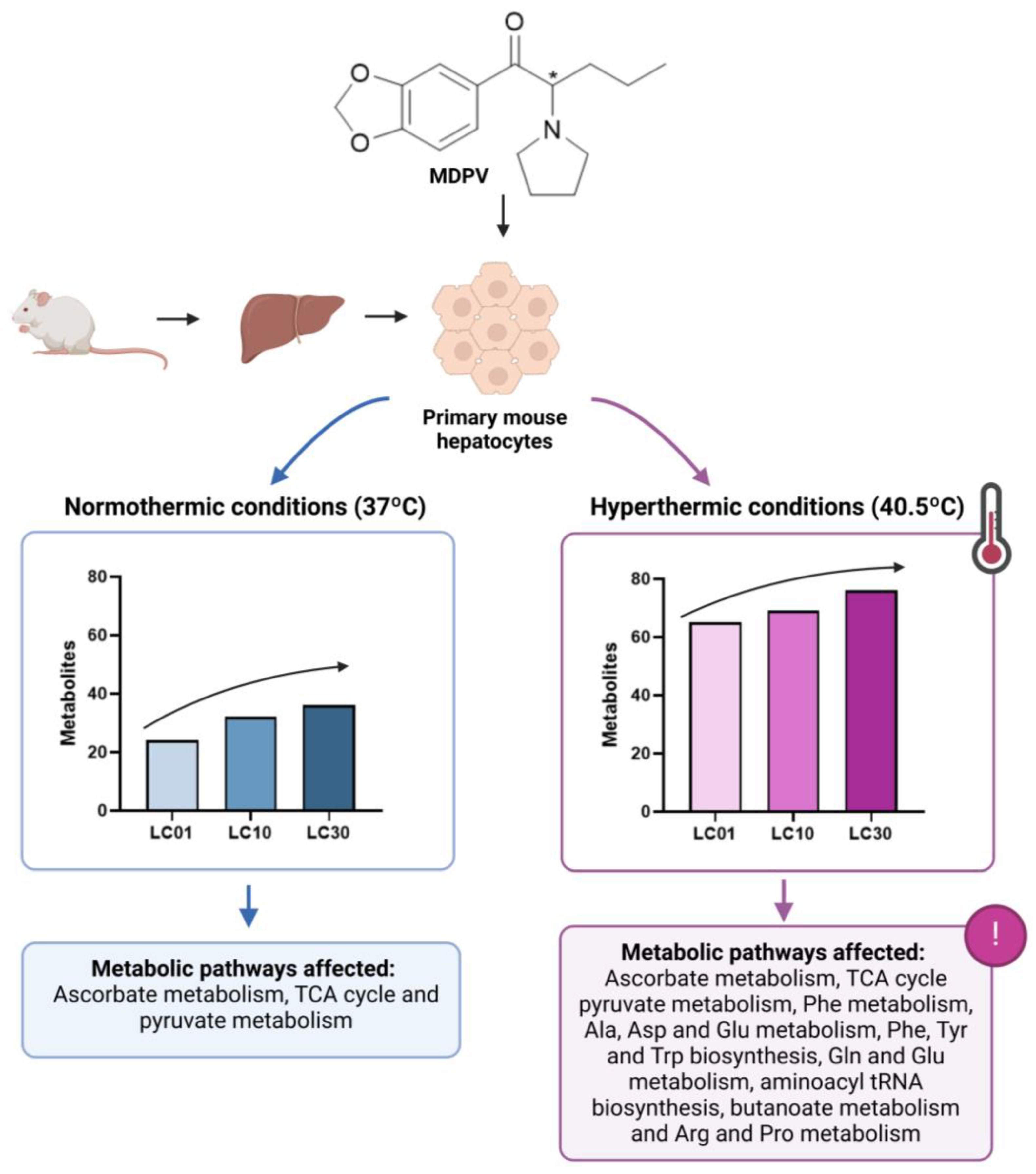 Molecules 30 00290 g005