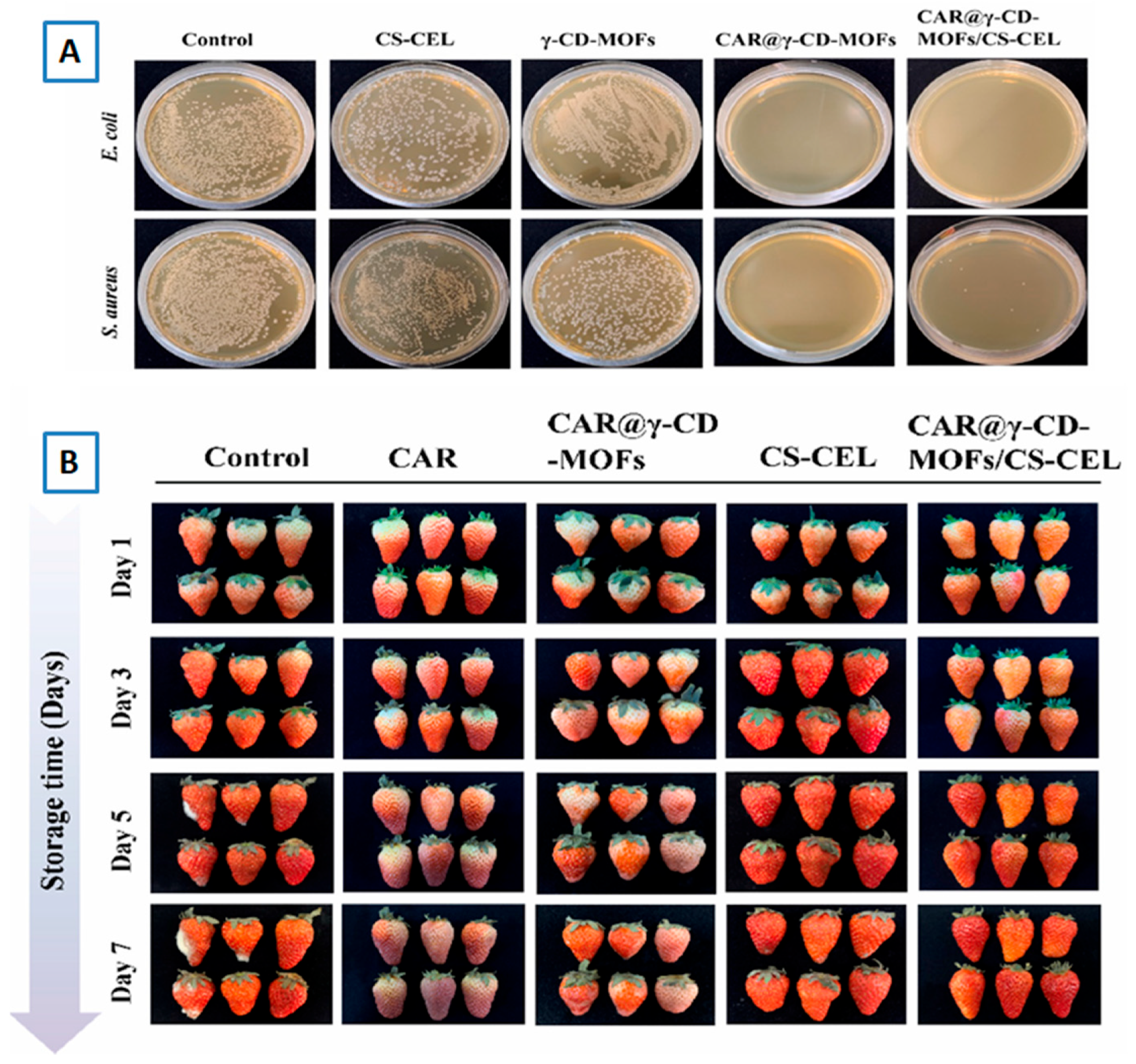 Molecules 30 00293 g023