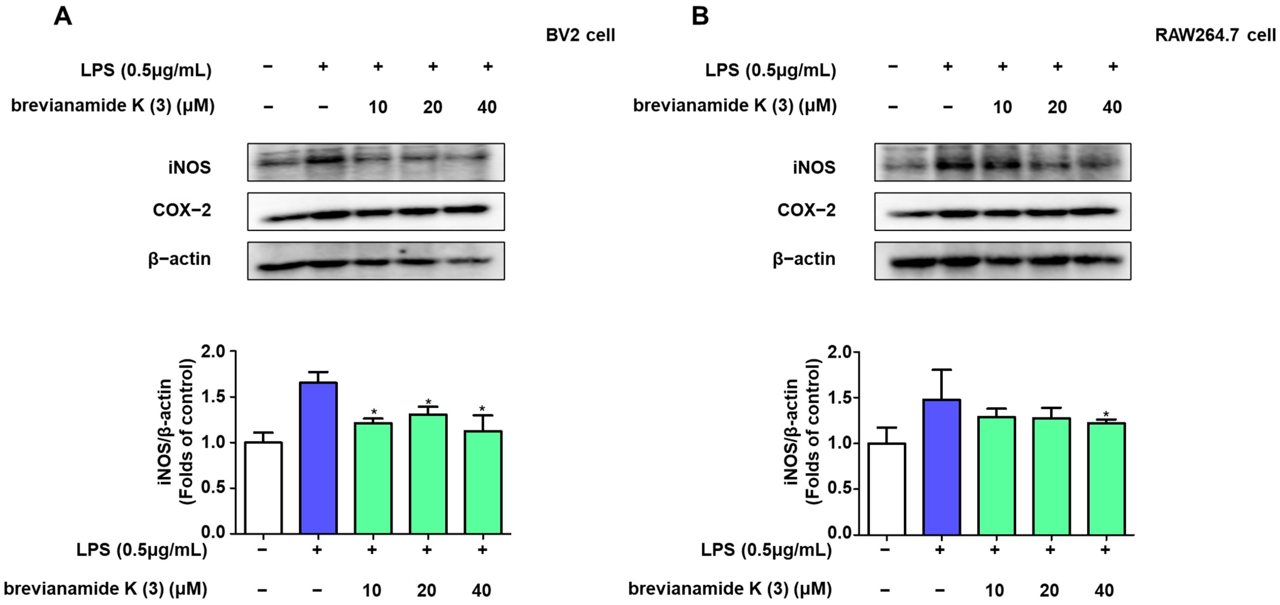 Molecules 30 00294 g003