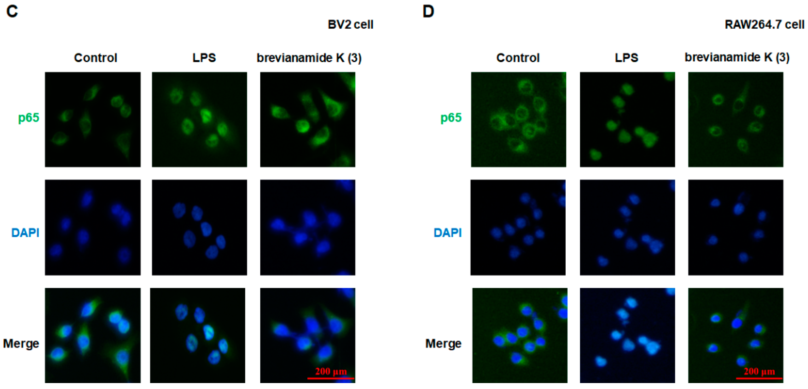 Molecules 30 00294 g004b