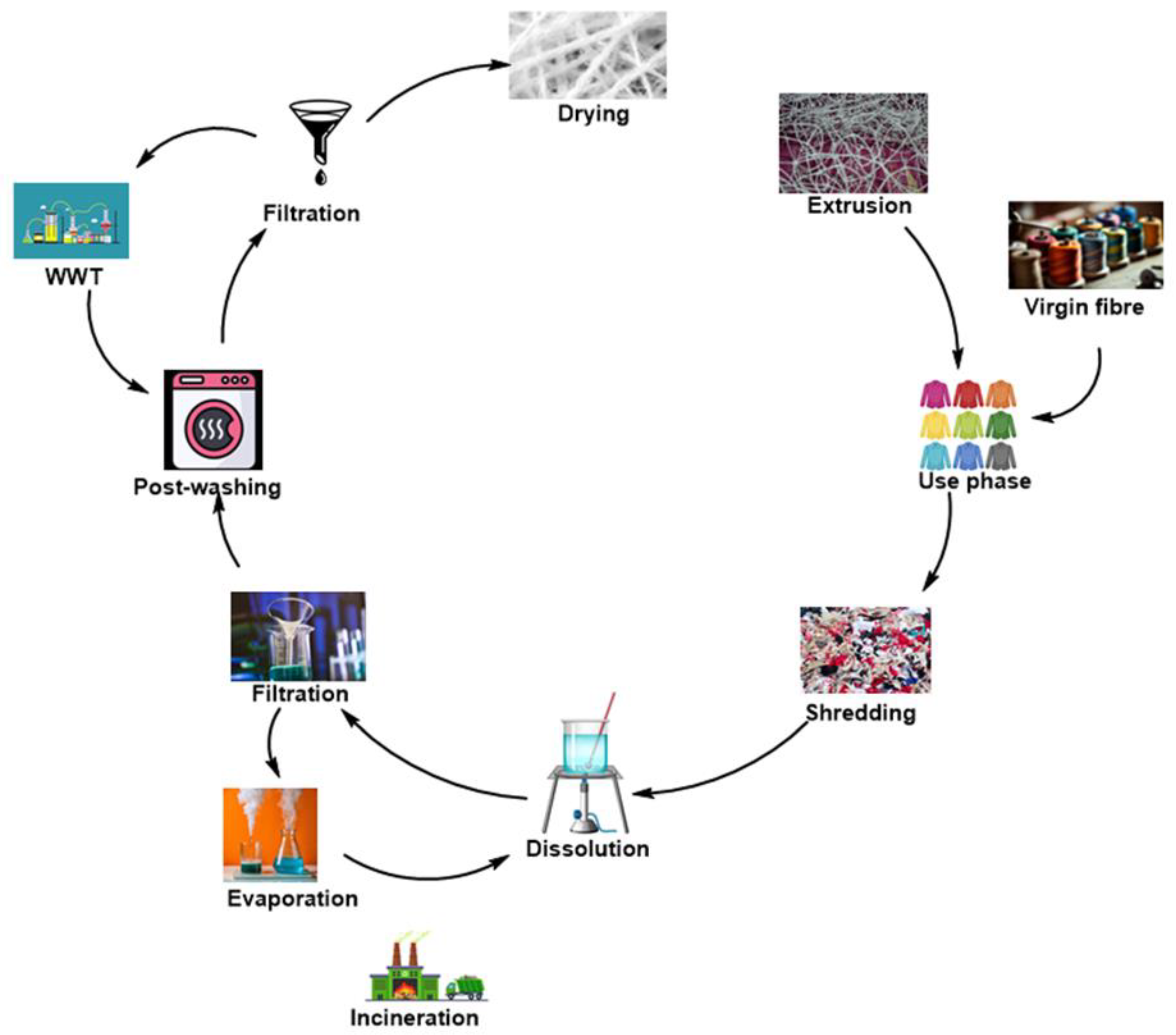 Molecules 30 00299 g008