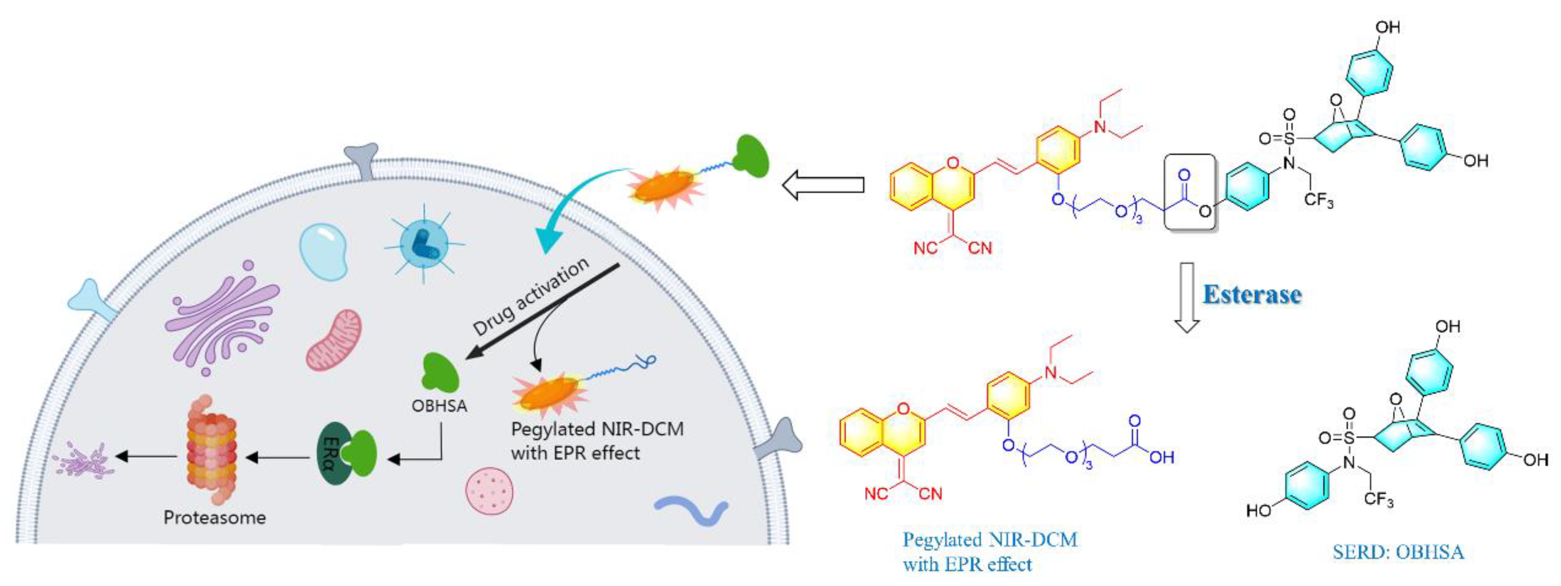 Molecules 30 00305 sch001