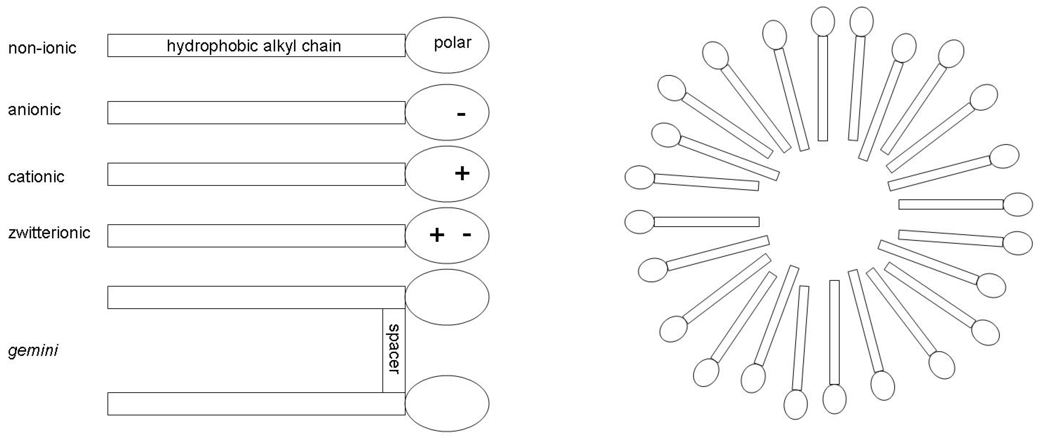 Molecules 30 00309 g001