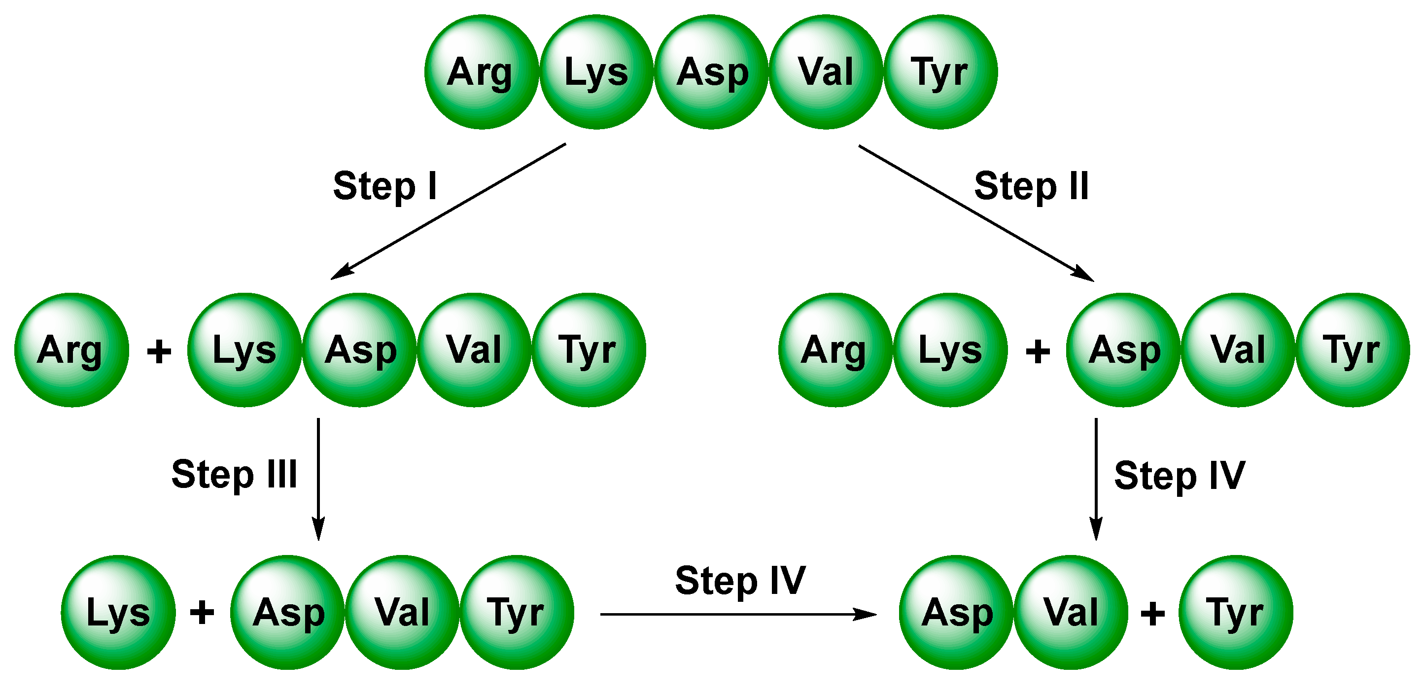 Molecules 30 00314 g004