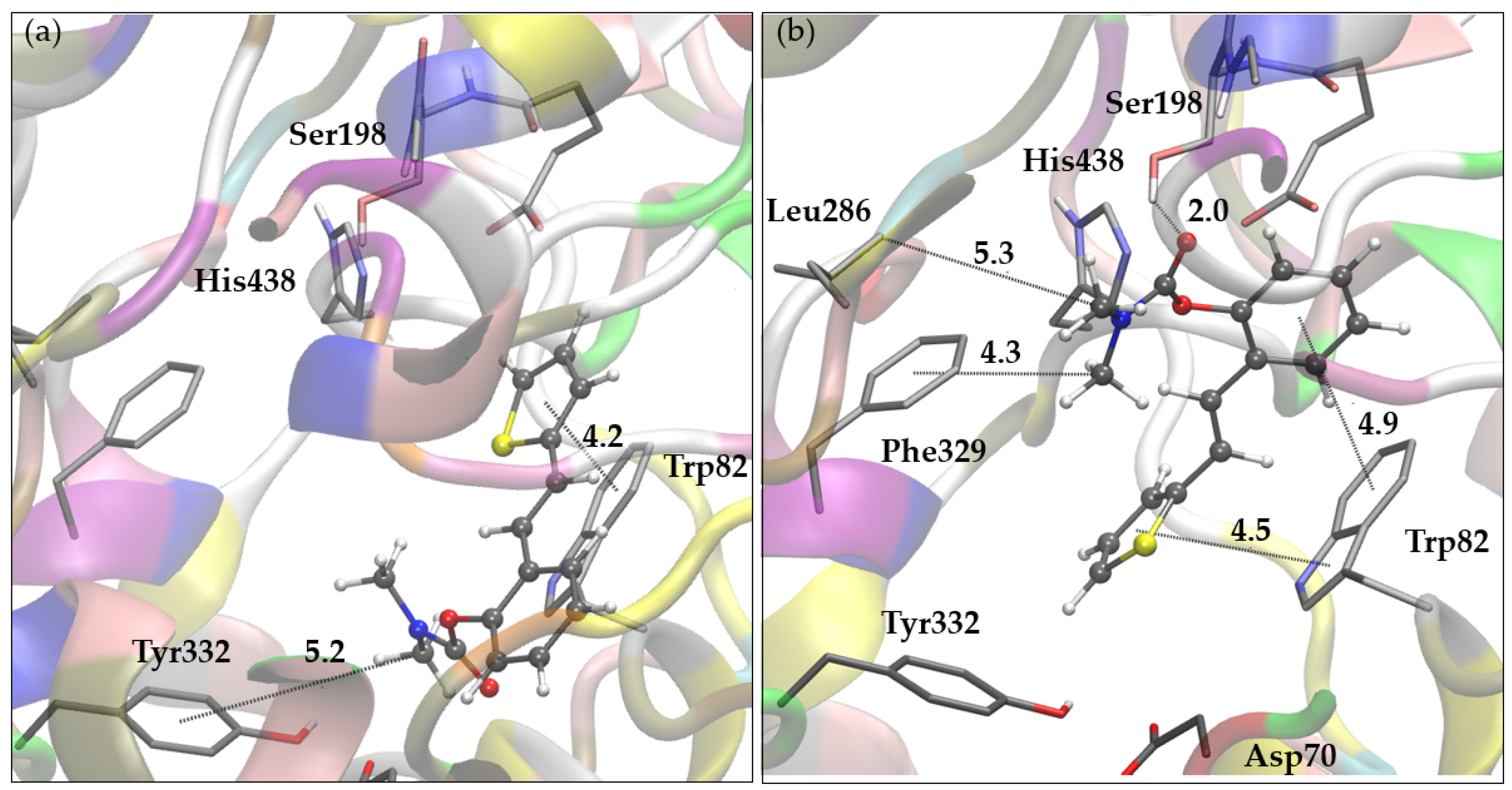 Molecules 30 00316 g005