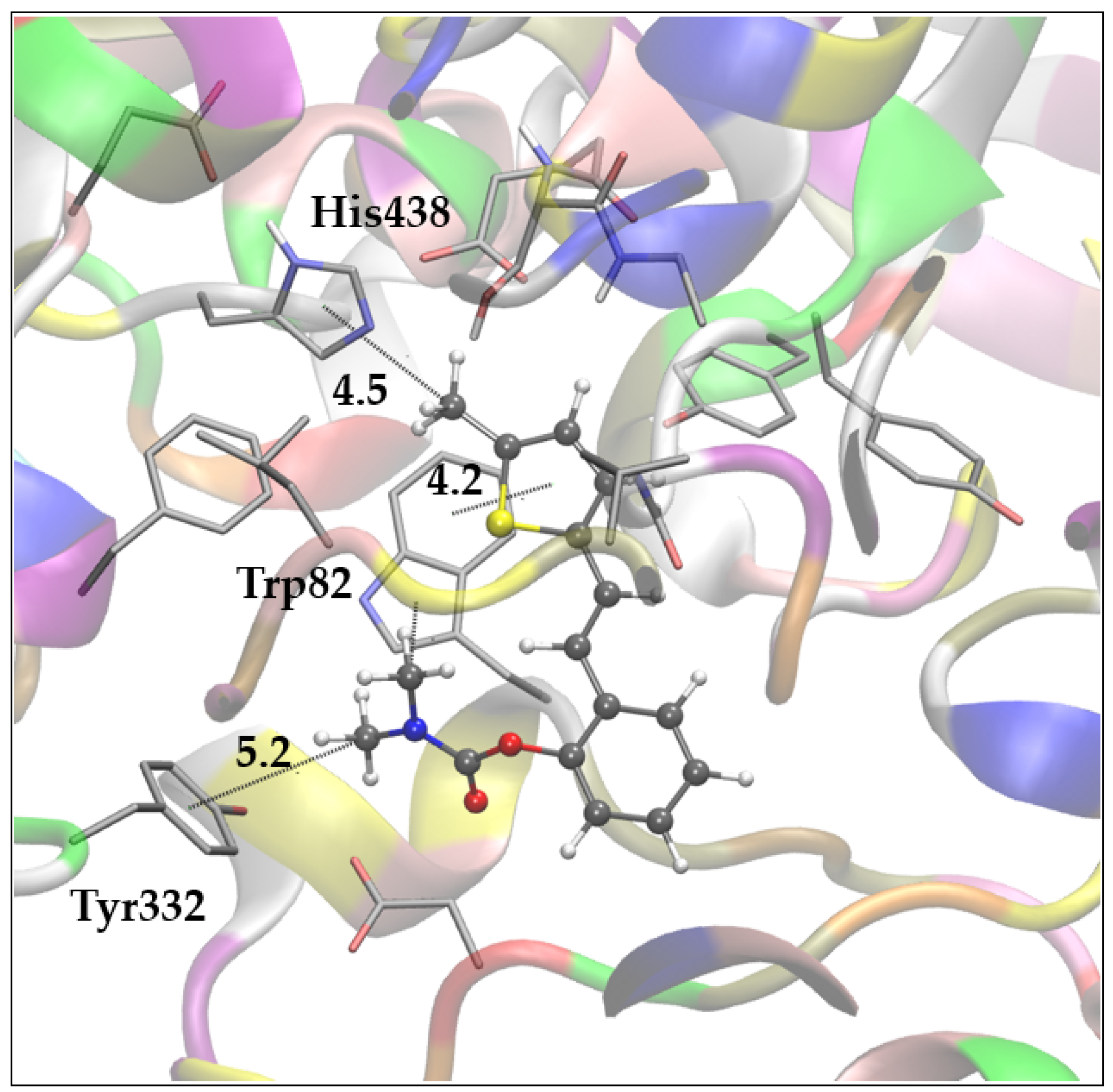 Molecules 30 00316 g006