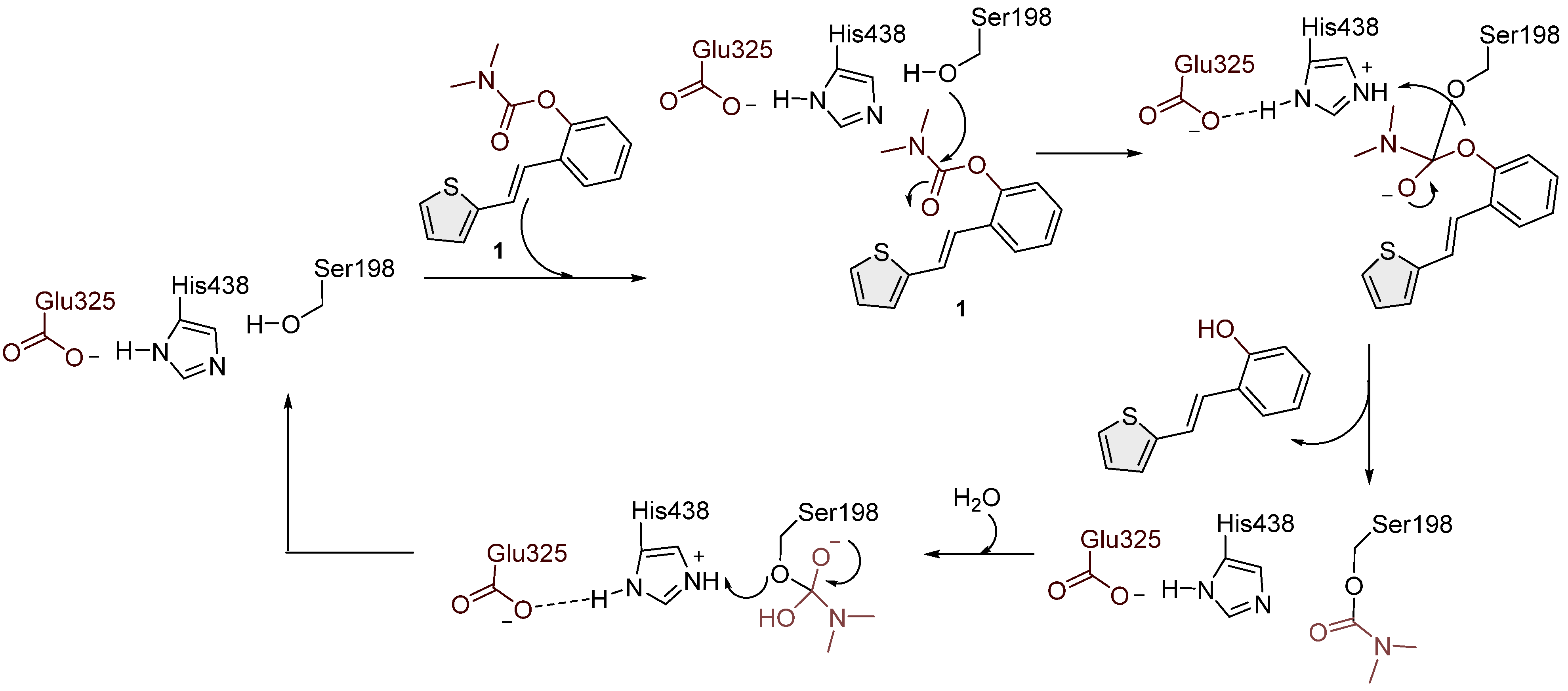 Molecules 30 00316 sch002
