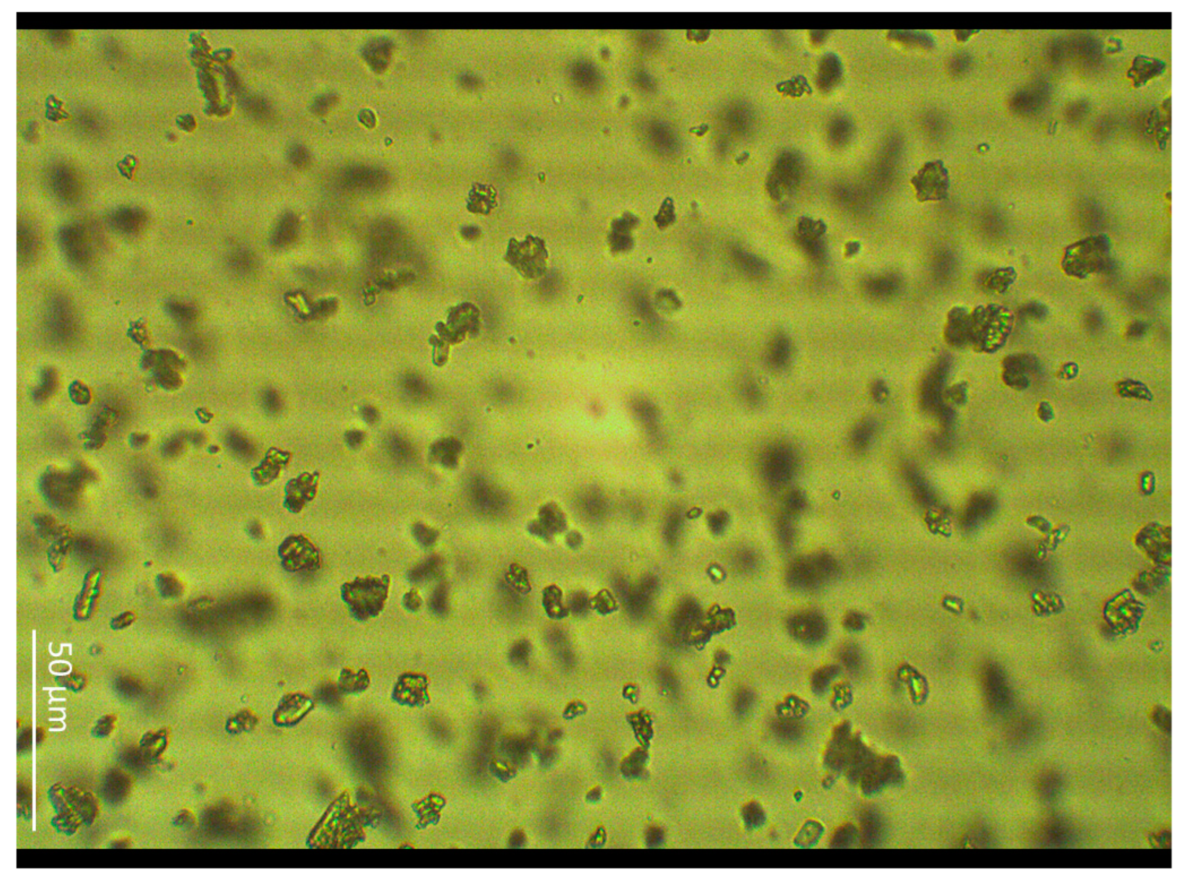 Molecules 30 00322 g003 Molecules 30 00322 g003