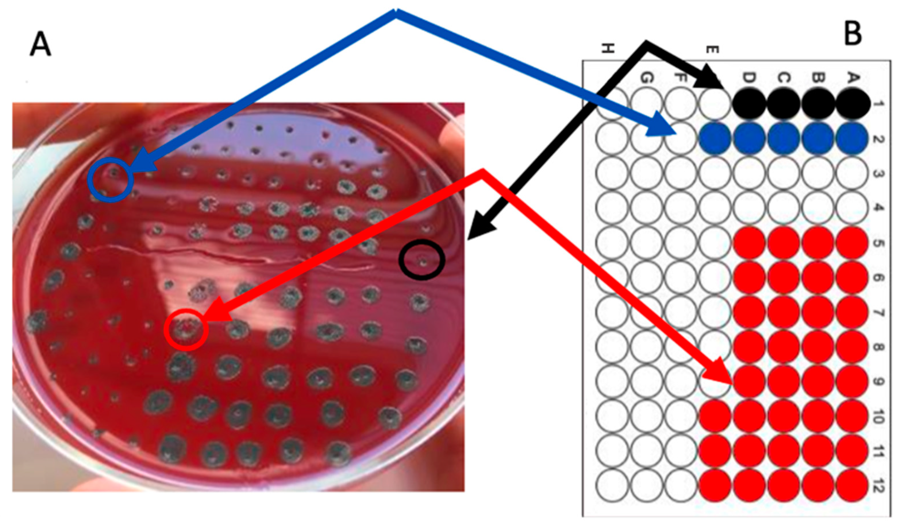 Molecules 30 00324 g002