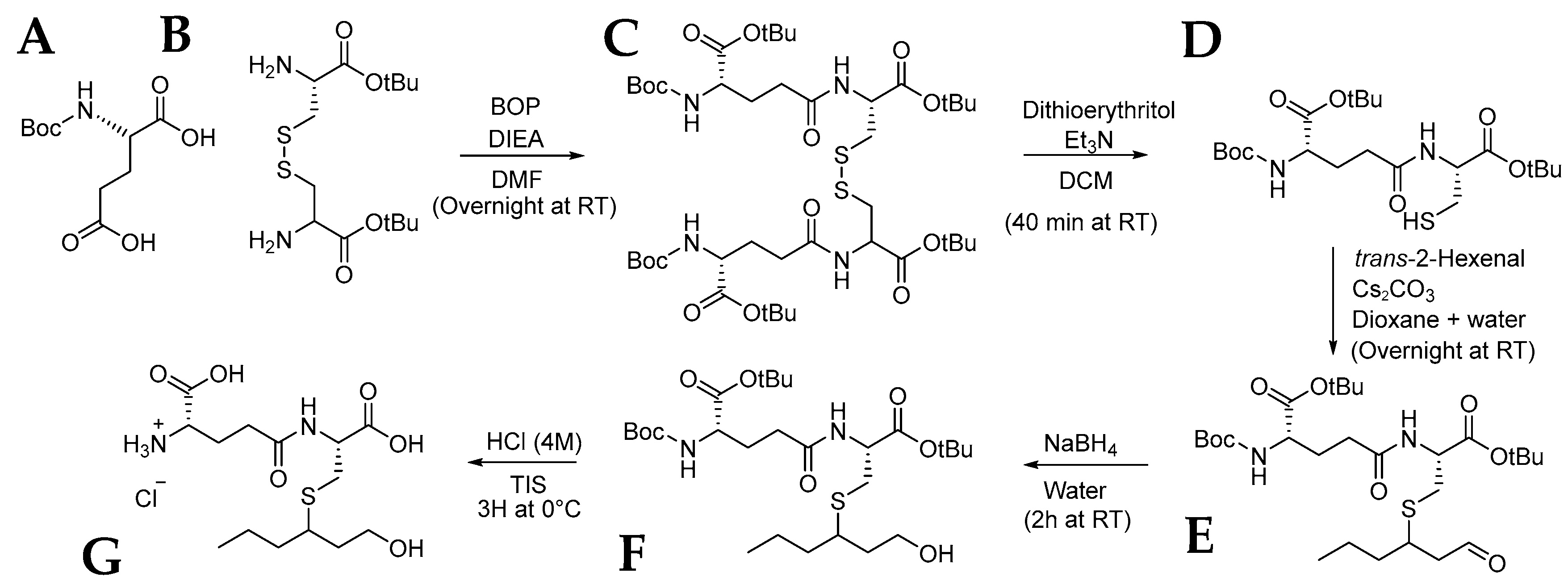 Molecules 30 00325 g005