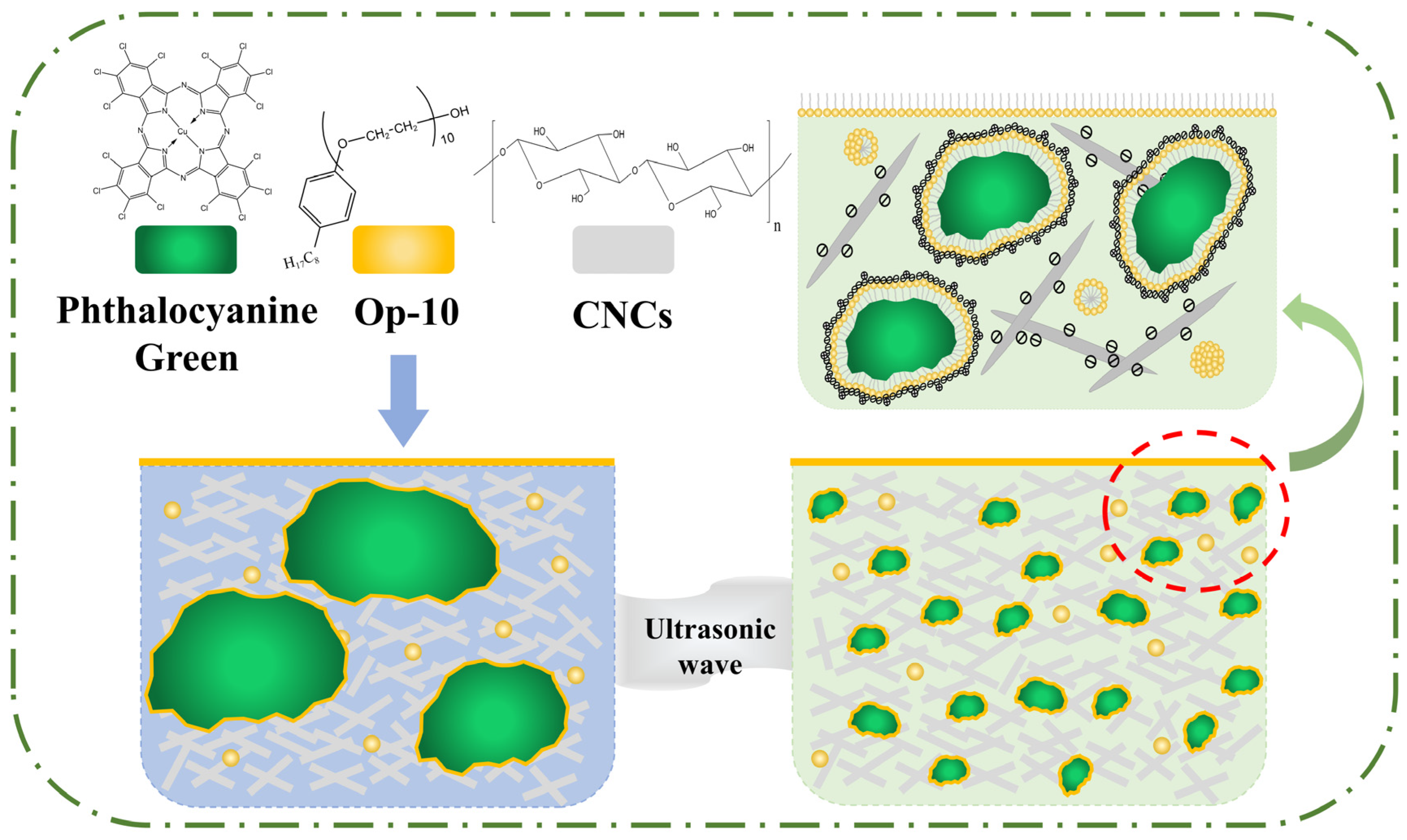 A Study on the Mechanism of Cellulose Nanocrystals to A Study on the Mechanism of Cellulose Nanocrystals to