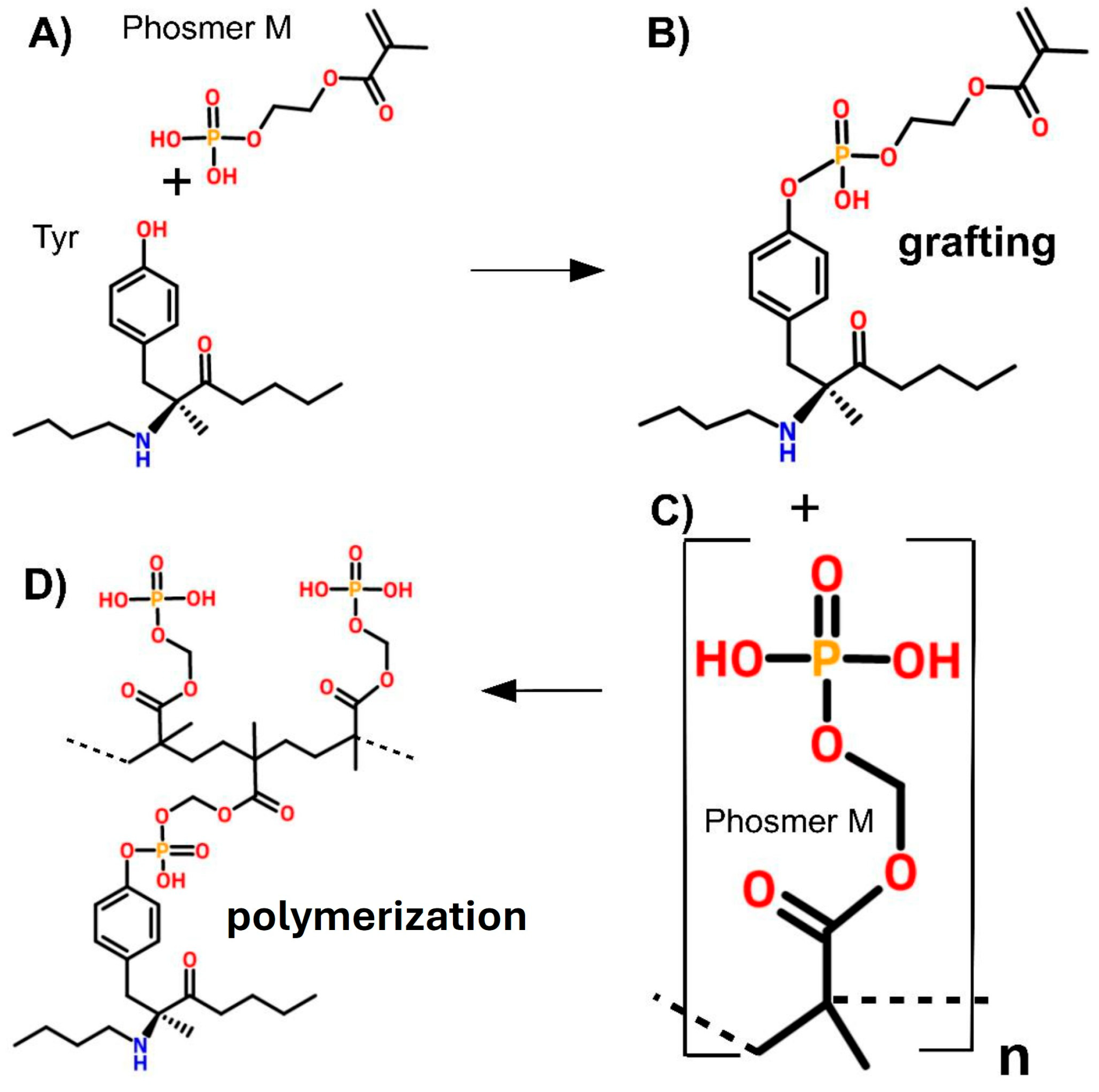 Molecules 30 00328 g007