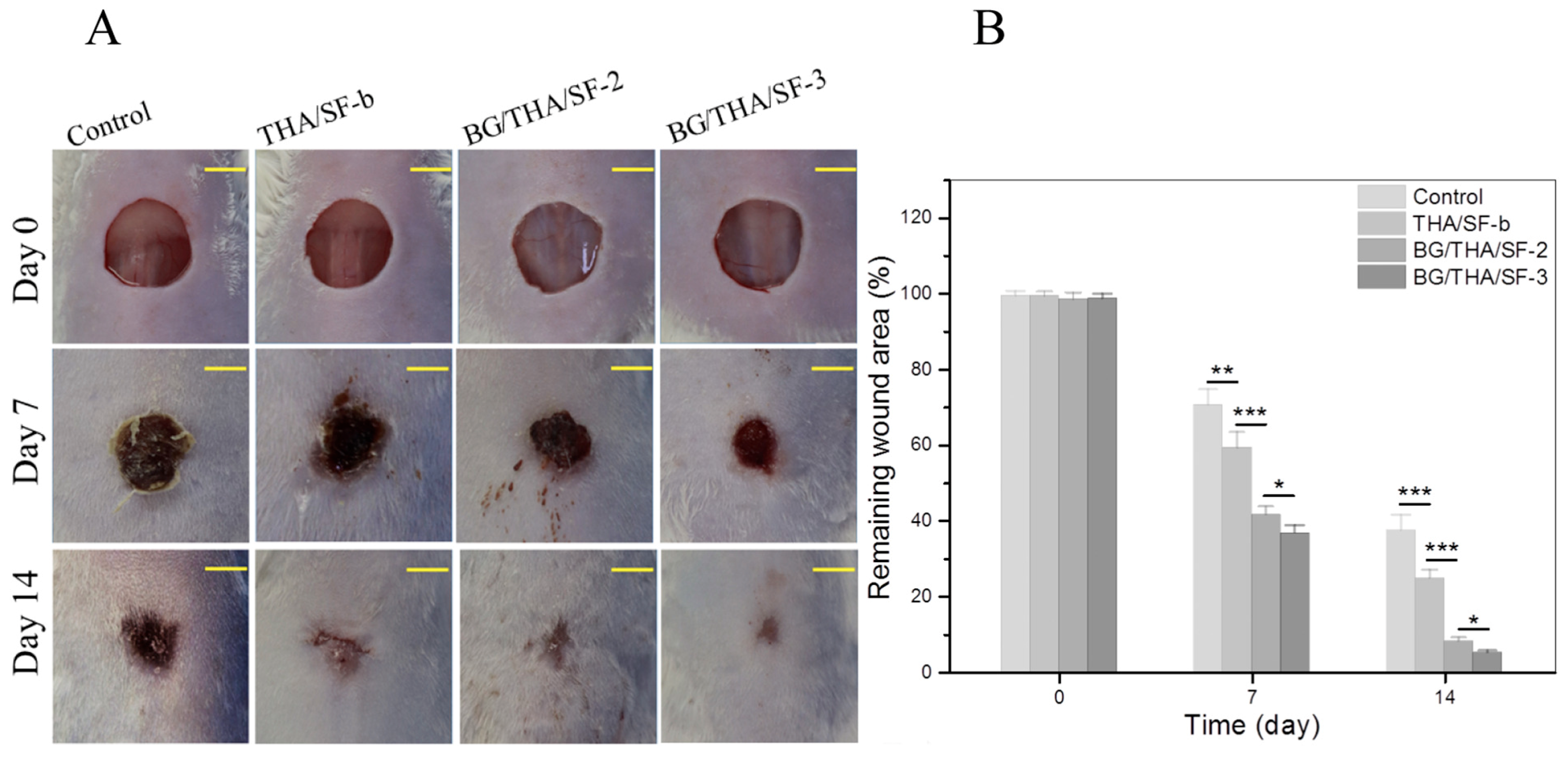 Molecules 30 00328 g009