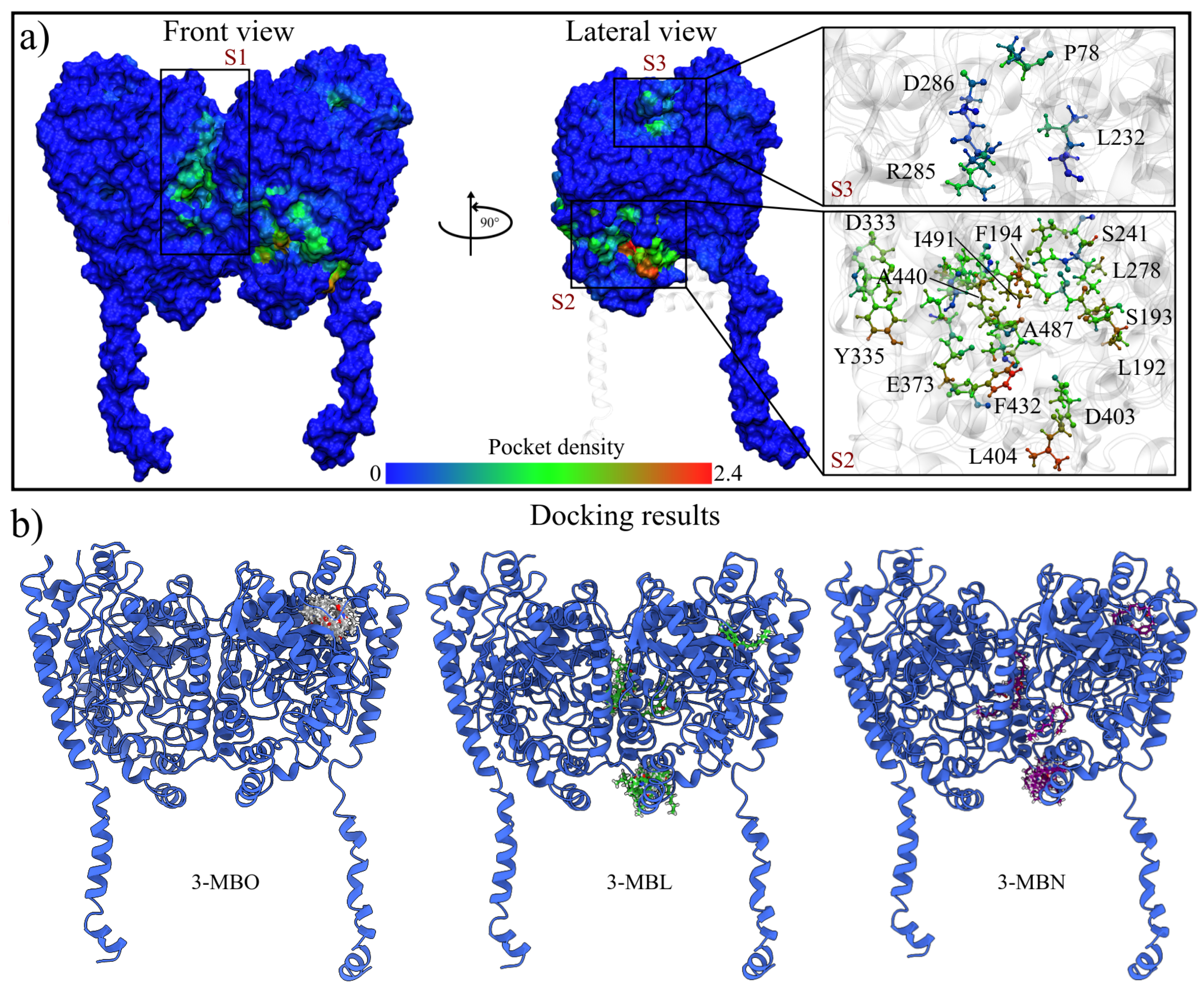 Molecules 30 00333 g003