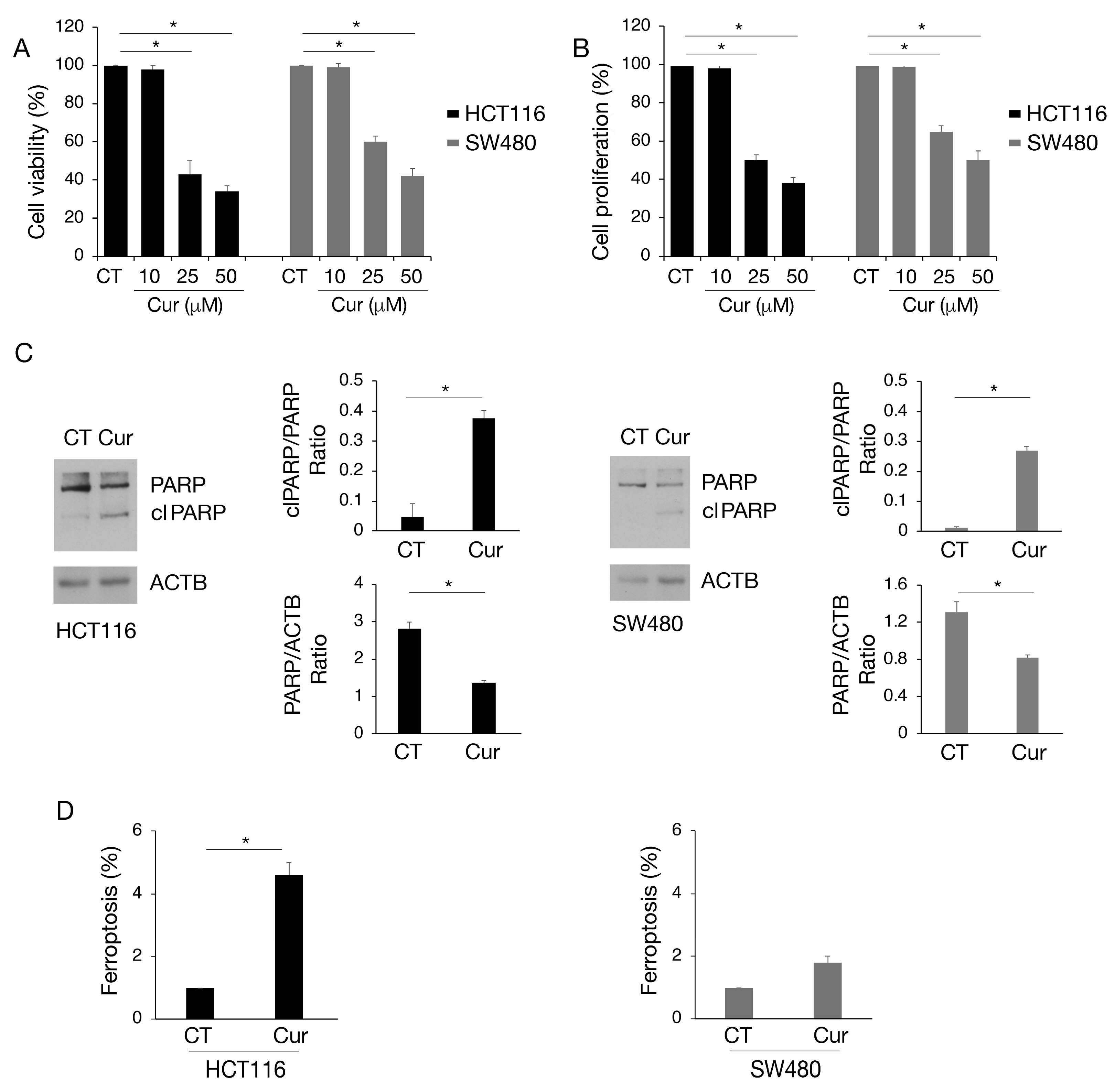 Molecules 30 00335 g001