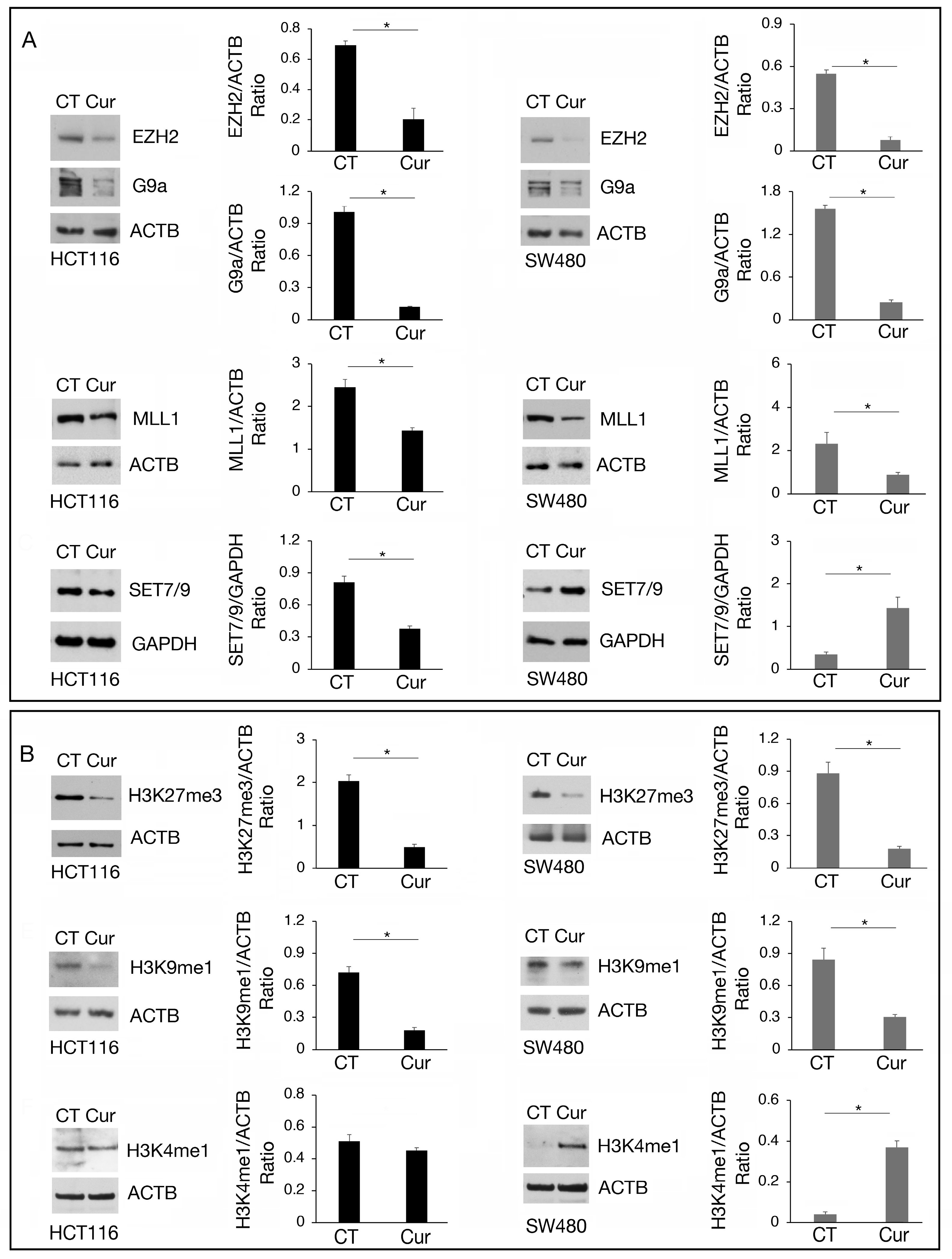 Molecules 30 00335 g004