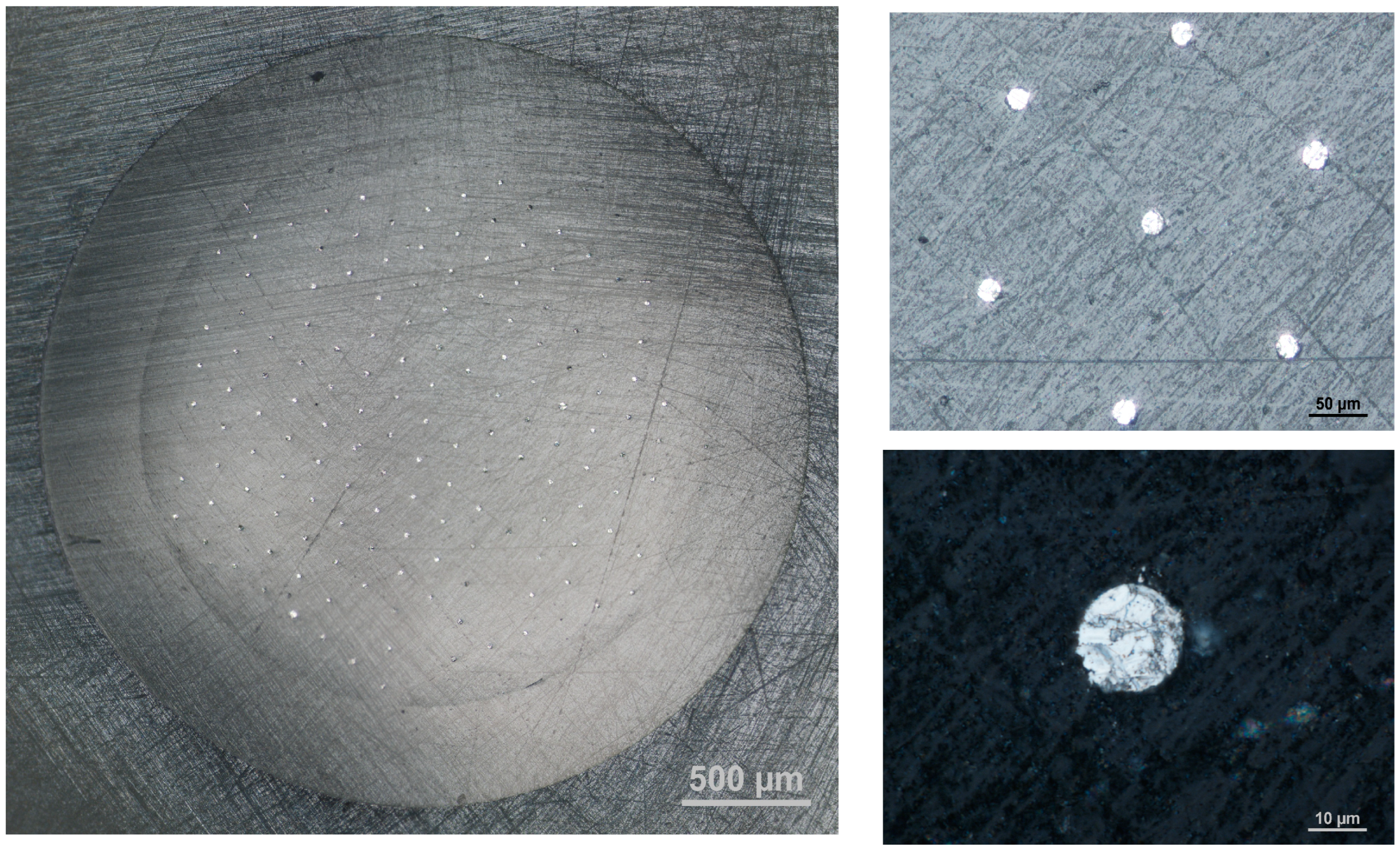 Molecules 30 00345 g001