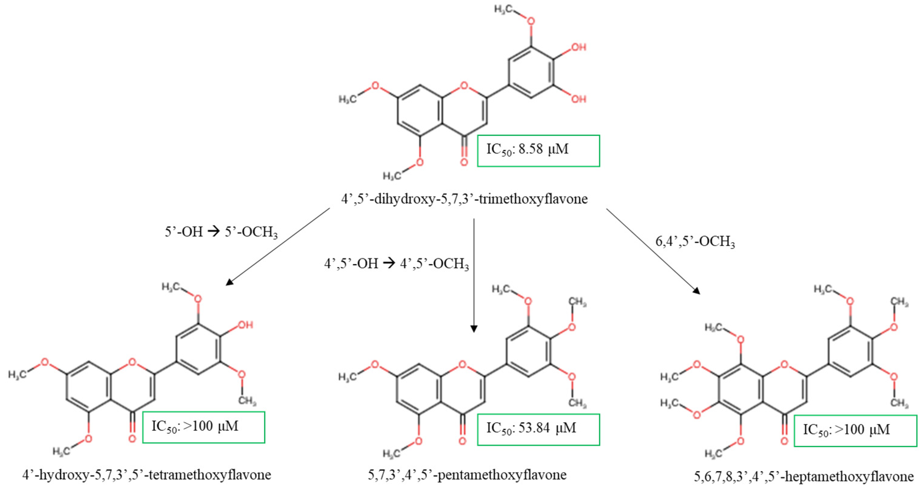 Molecules 30 00346 g005