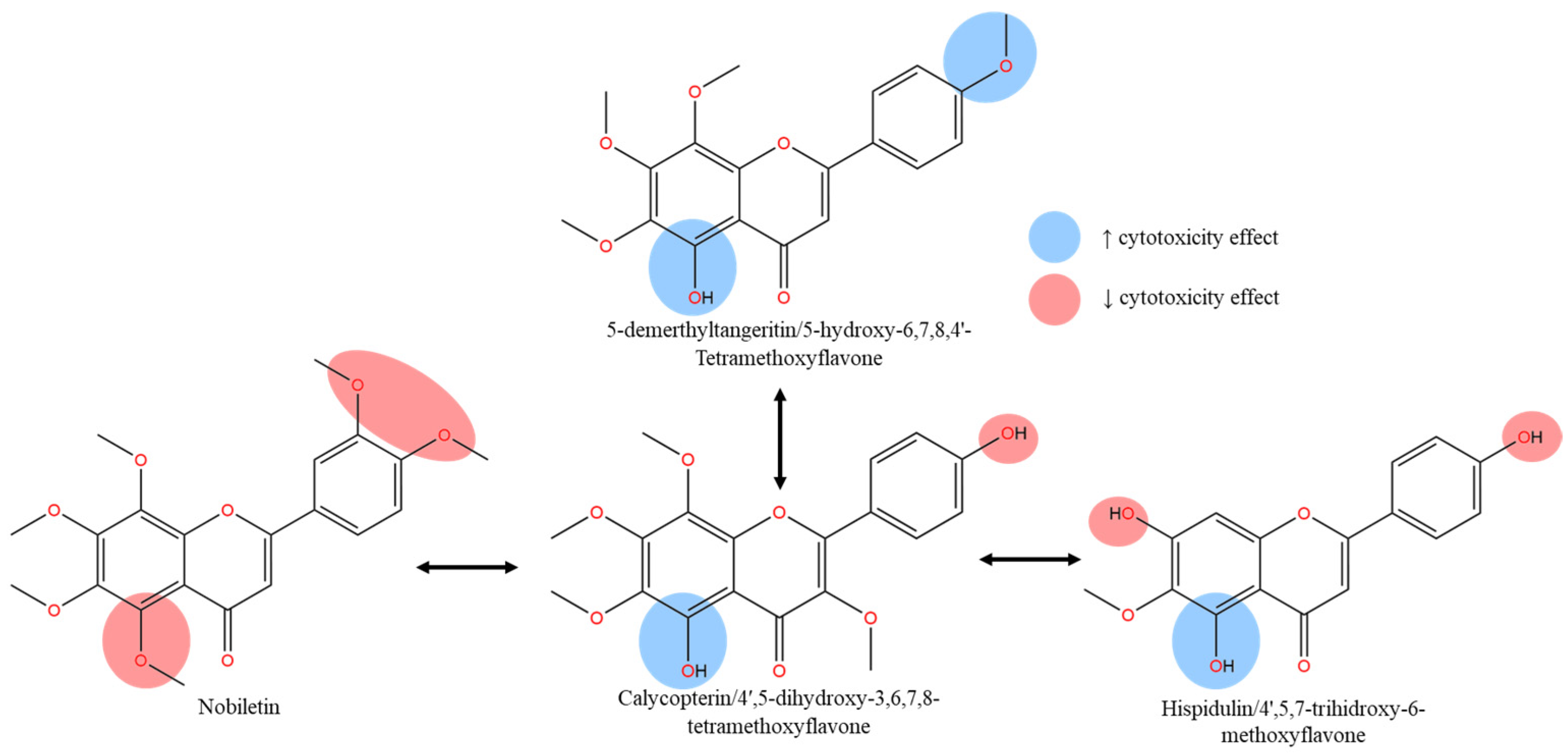 Molecules 30 00346 g006