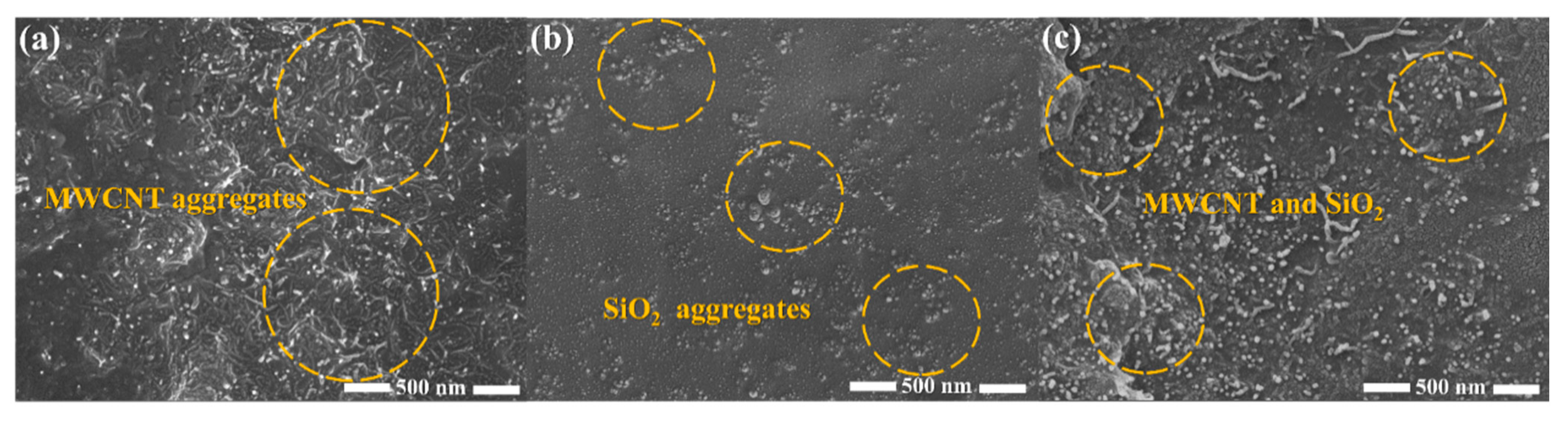 Molecules 30 00349 g005