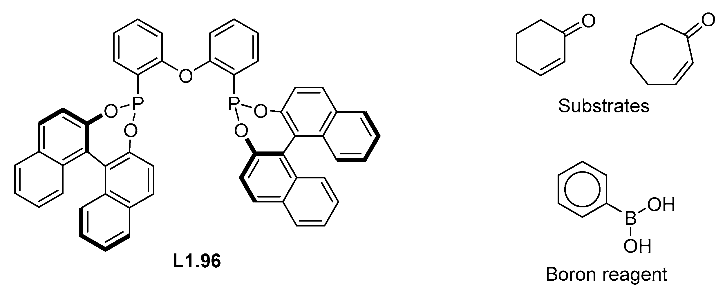Molecules 30 00355 g006 Molecules 30 00355 g006