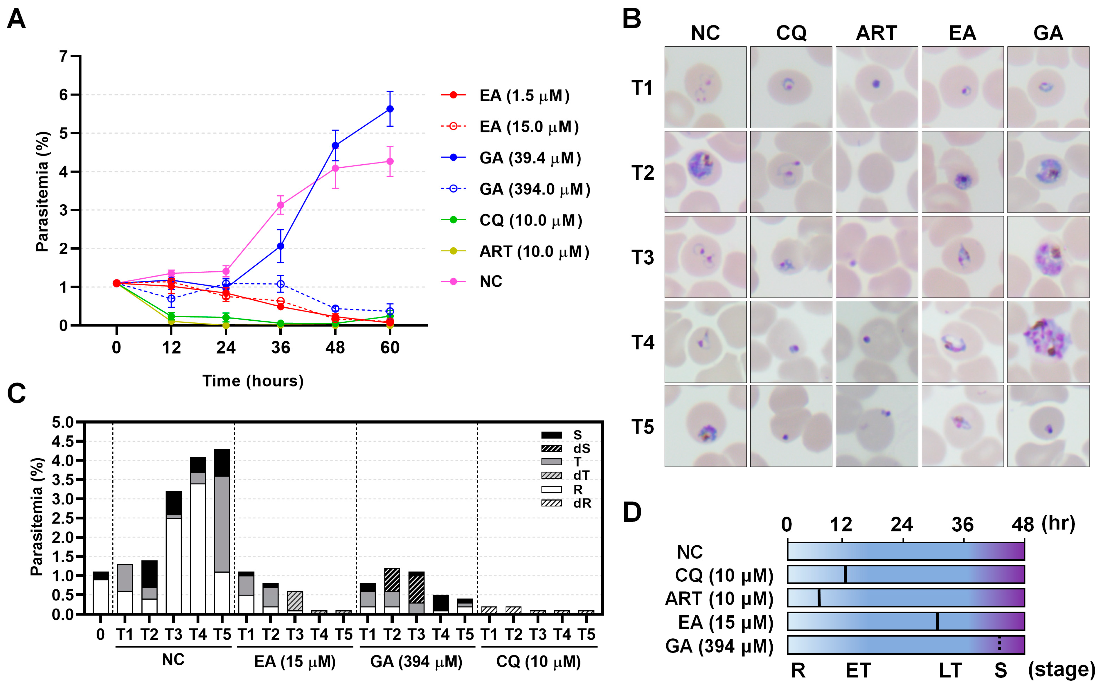 Molecules 30 00359 g004