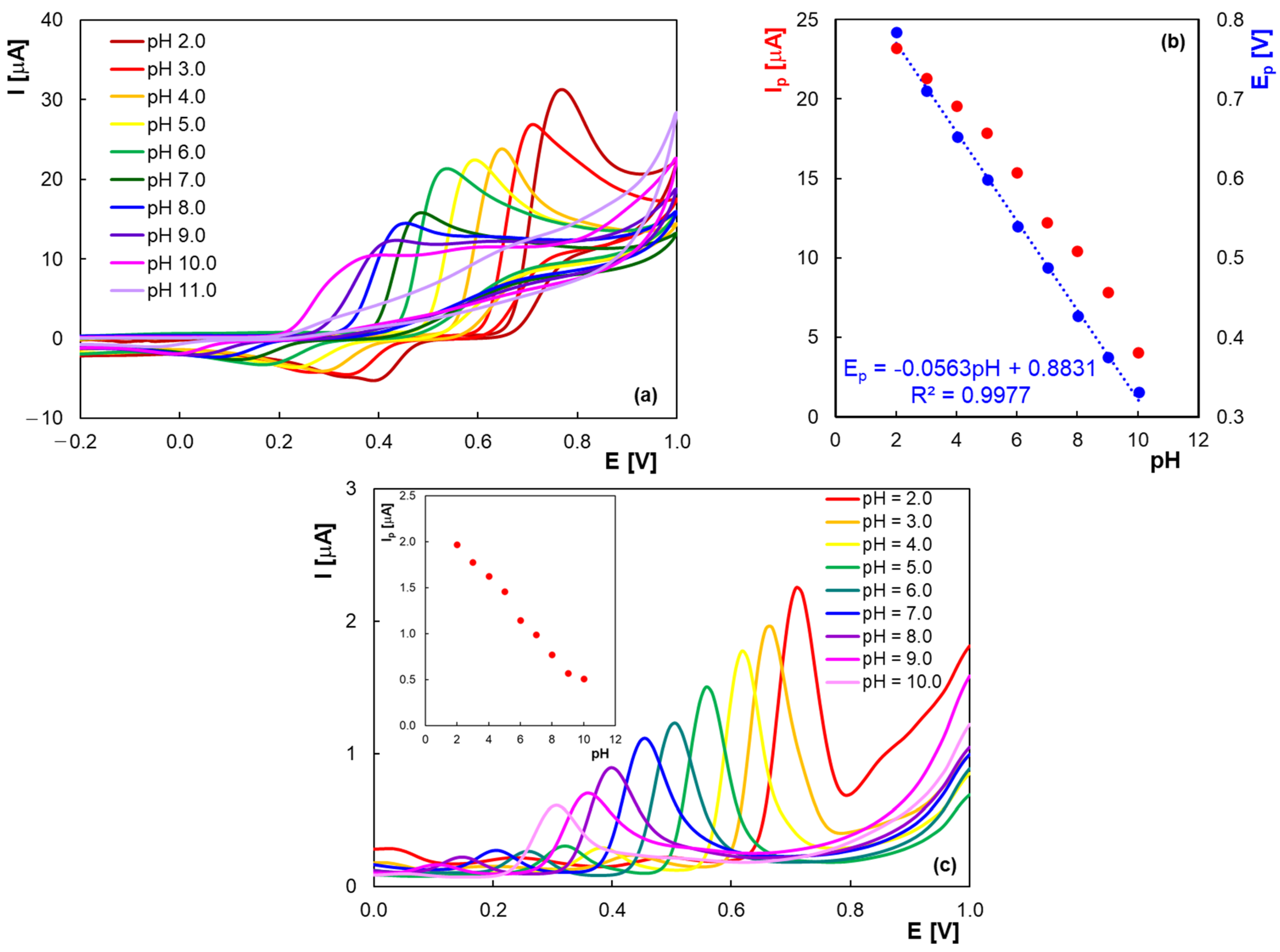 Molecules 30 00369 g004