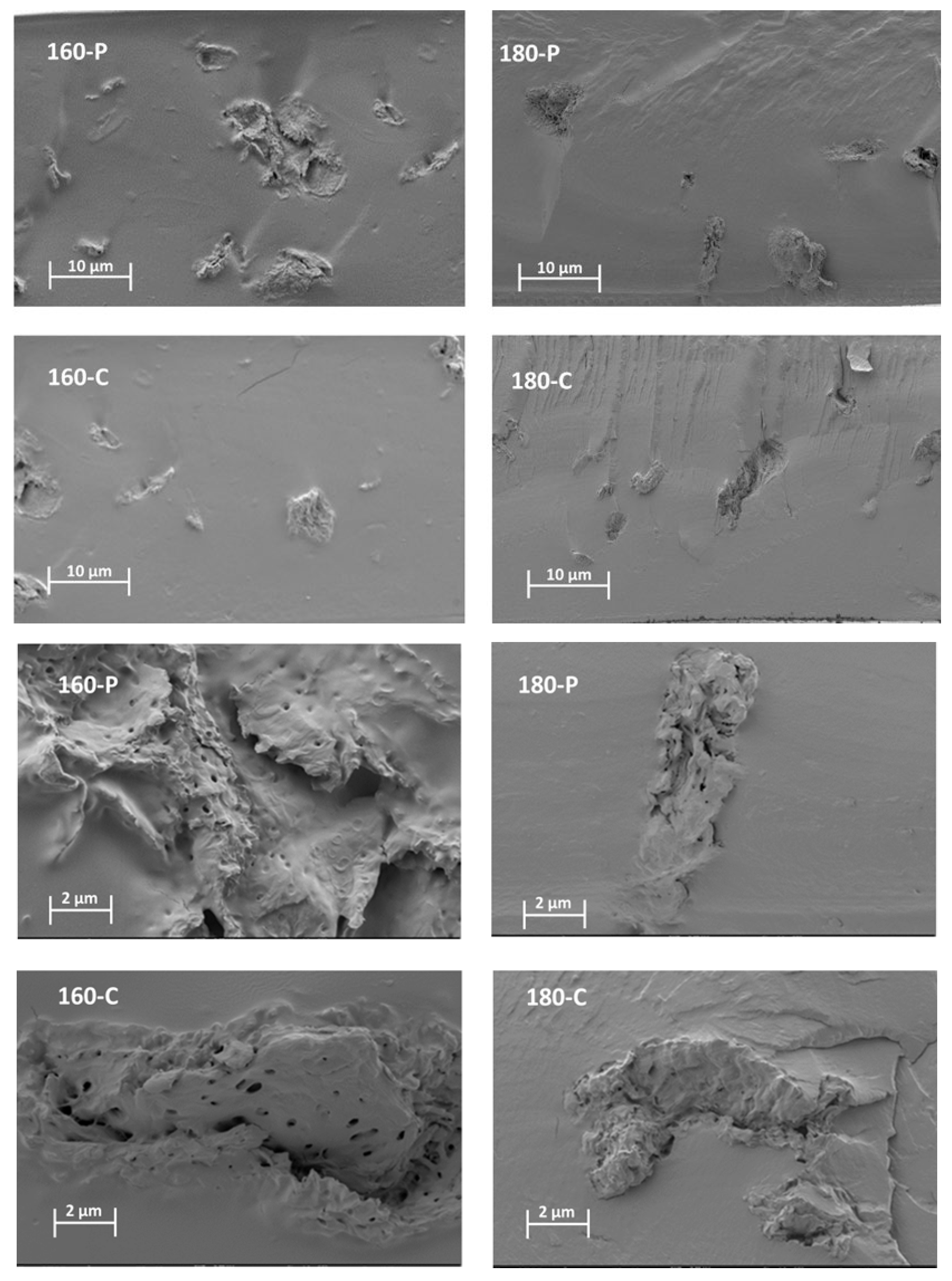 Molecules 30 00372 g001