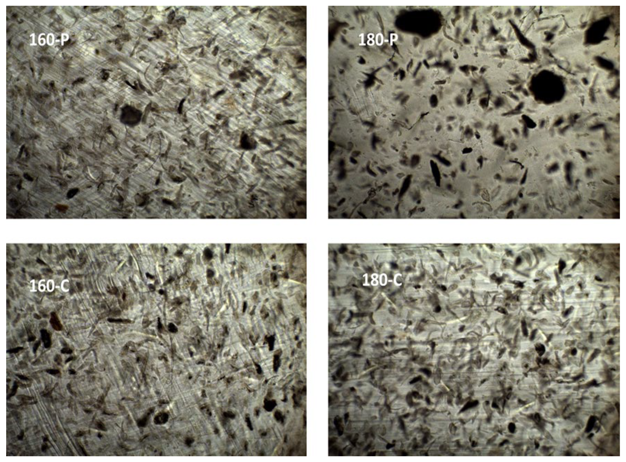 Molecules 30 00372 g002