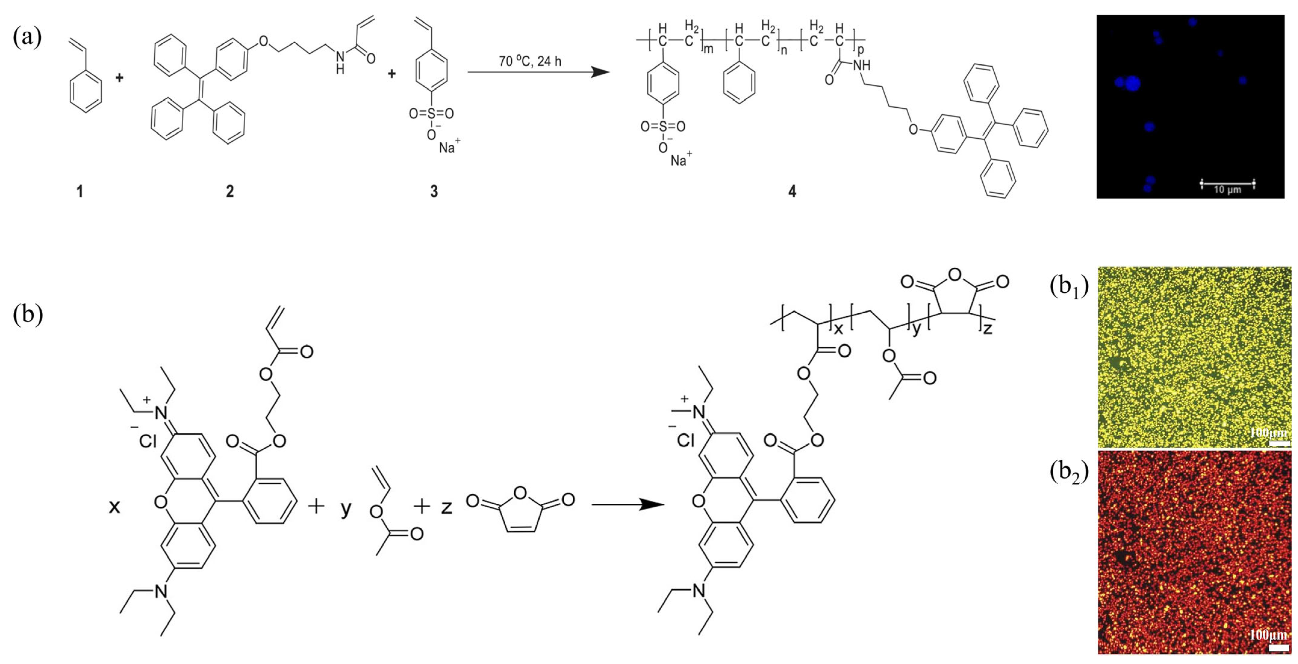 Molecules 30 00375 g004