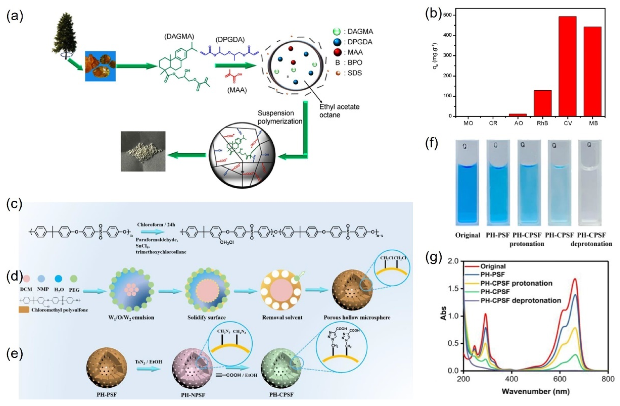 Molecules 30 00375 g011