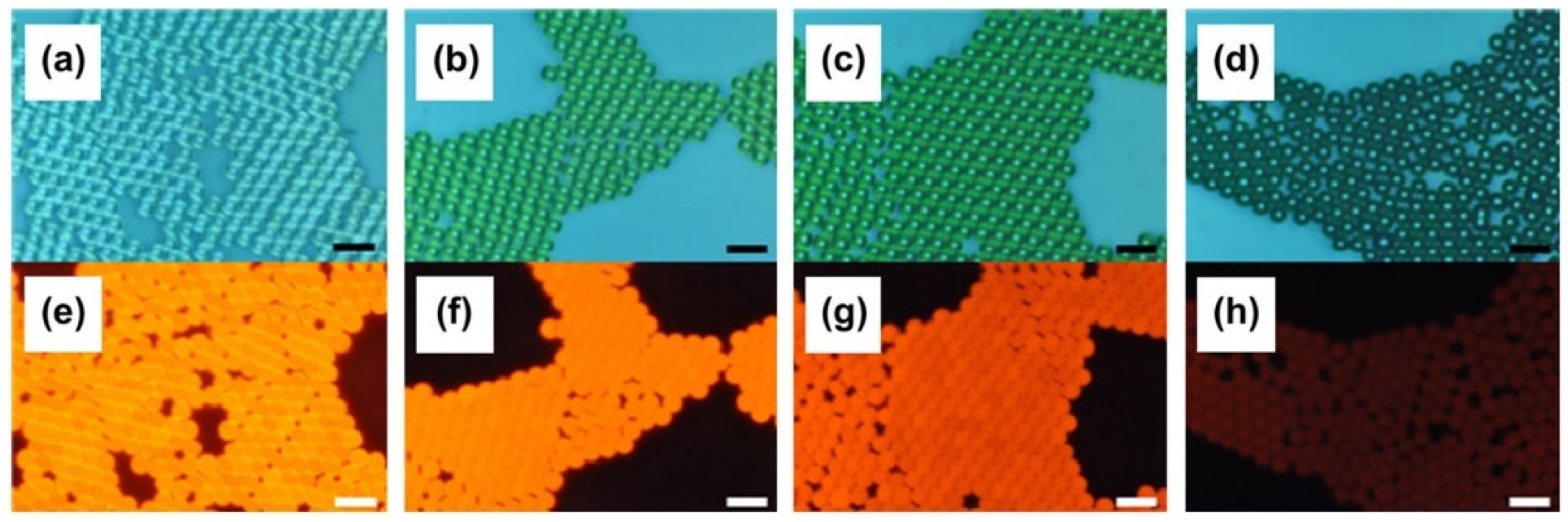 Molecules 30 00375 g012