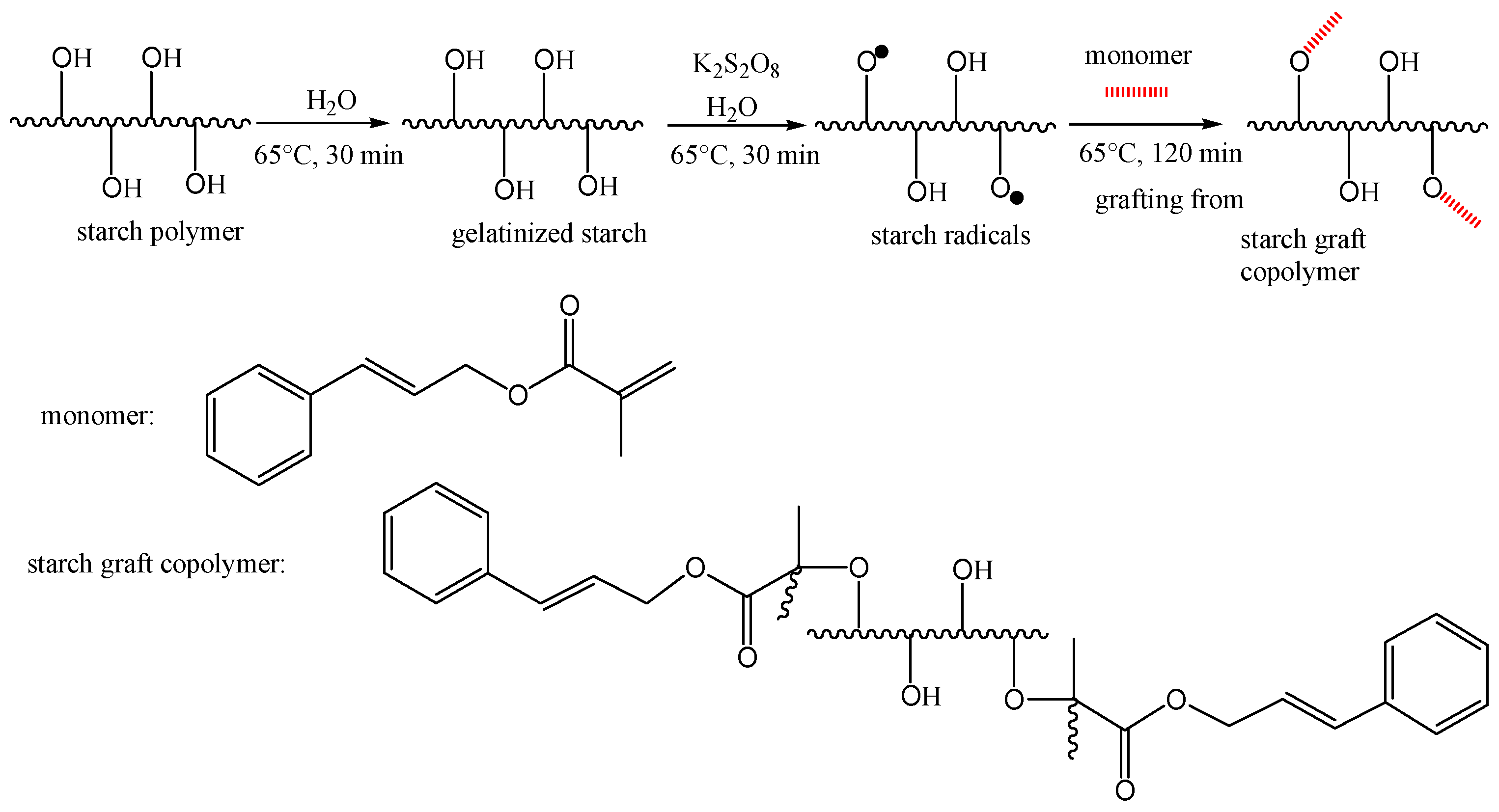 Molecules 30 00376 sch001