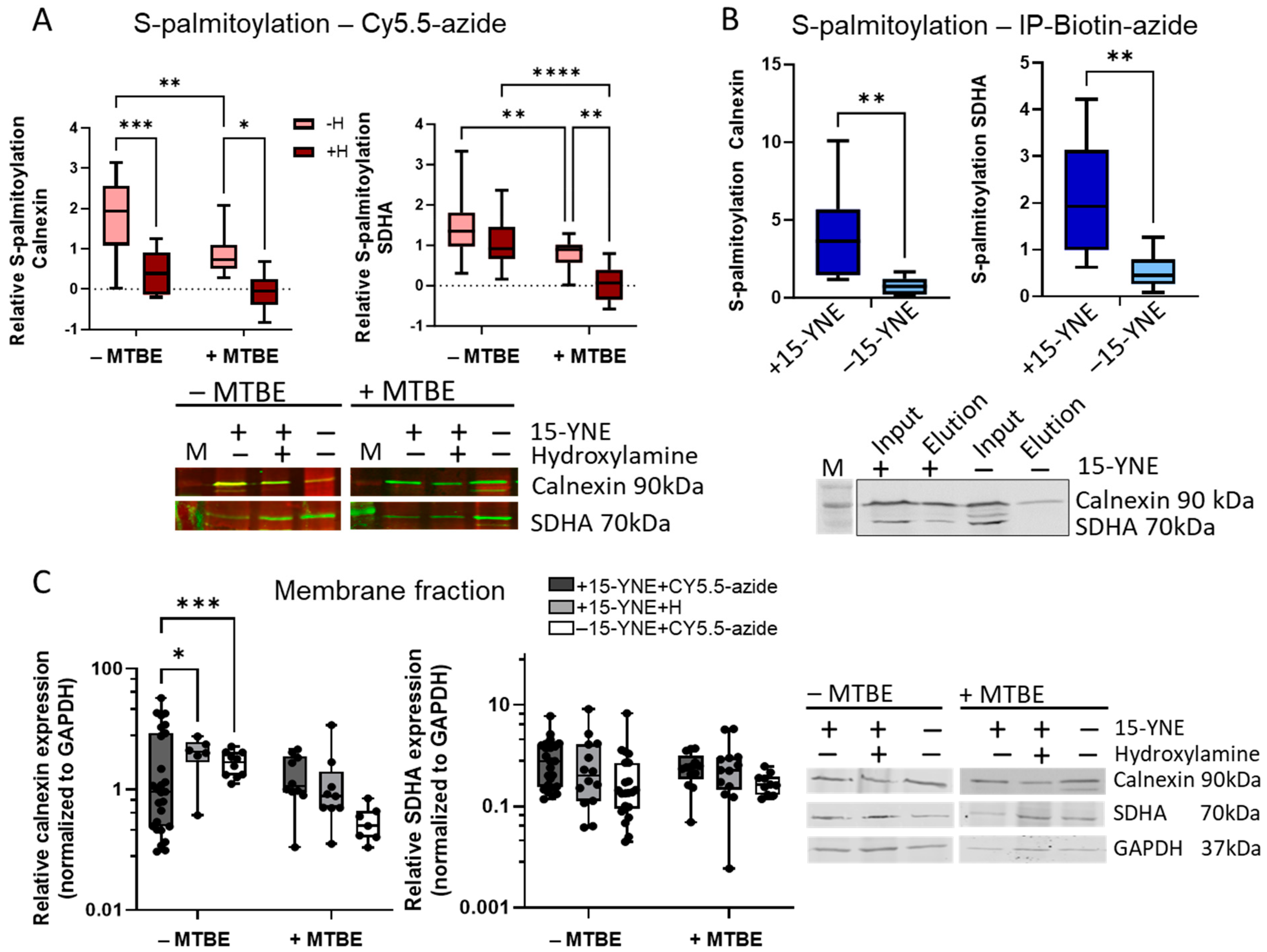 Molecules 30 00377 g002