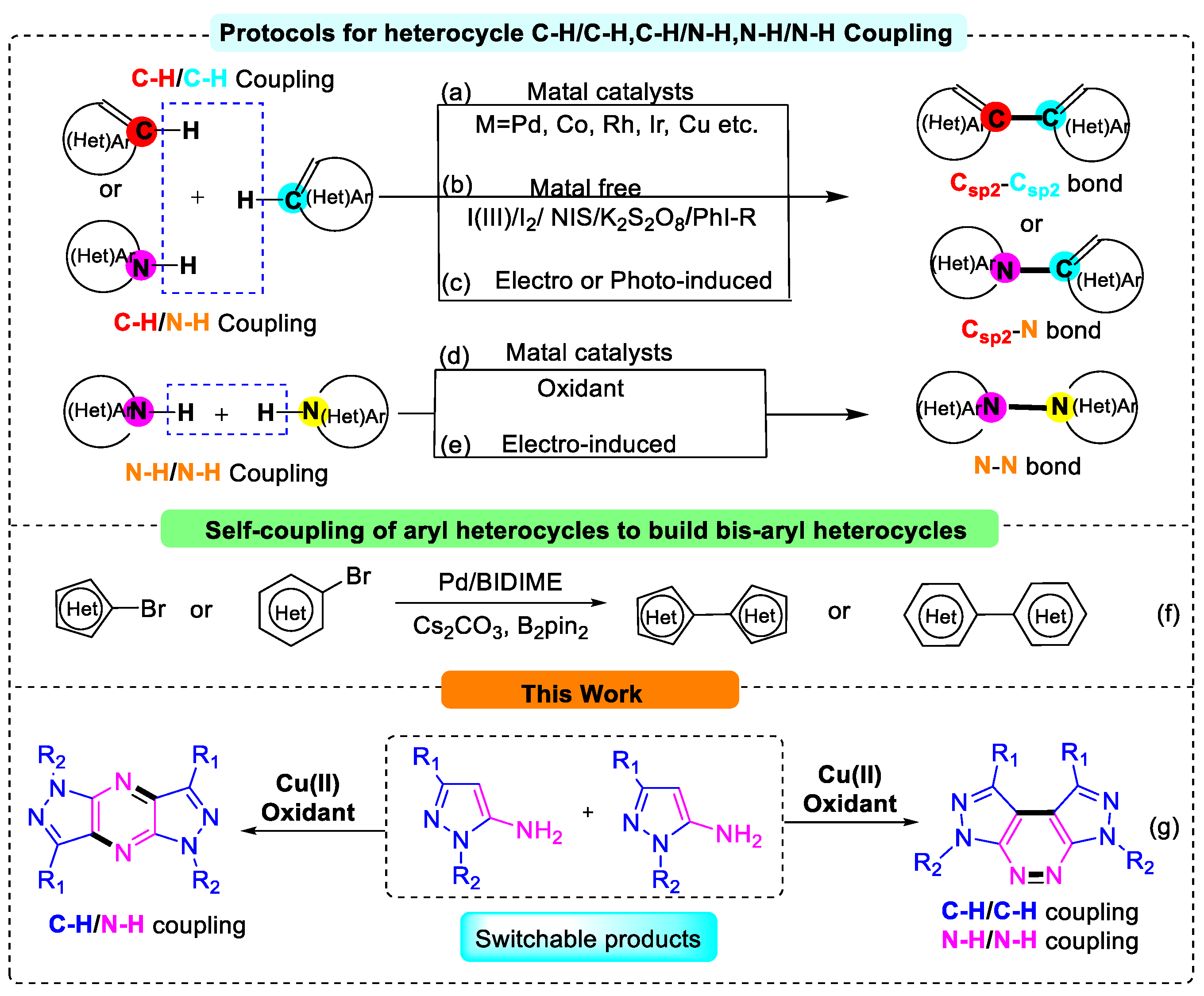 Molecules 30 00381 sch001